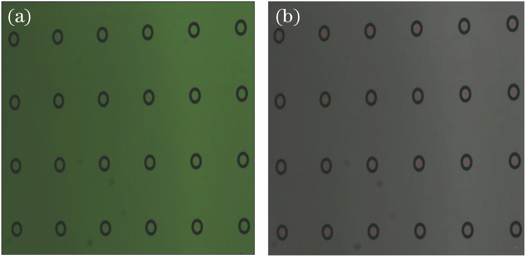 Images of hollow ring marker matrix captured by the camera. (a) Texture image; (b) red dots representing the center of each hollow ring marker