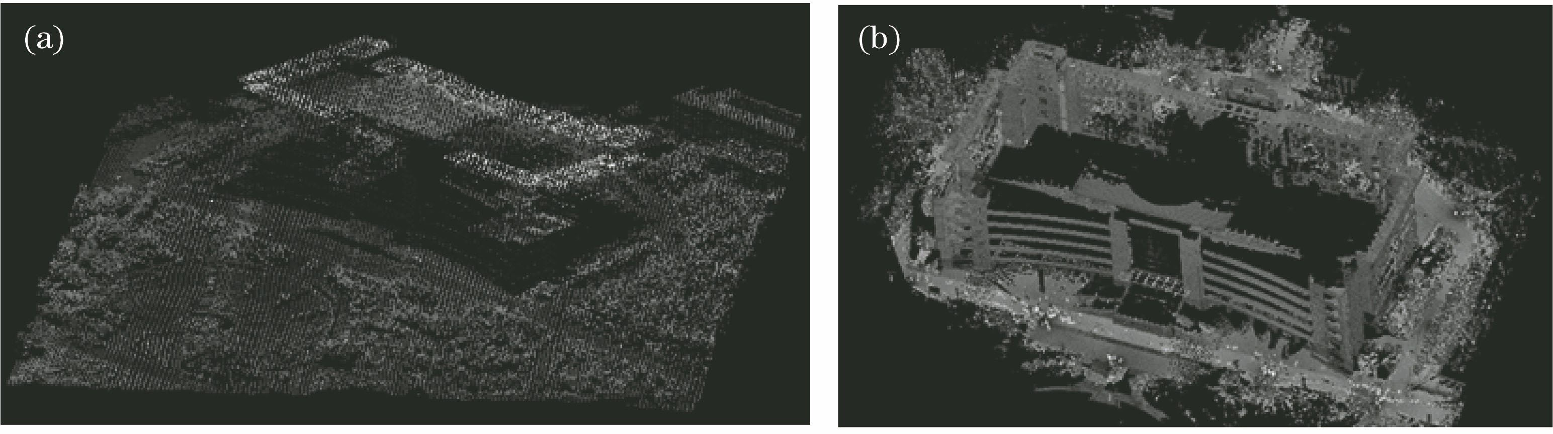 Corrected intensity images of (a) airborne and (b) terrestrial LiDAR
