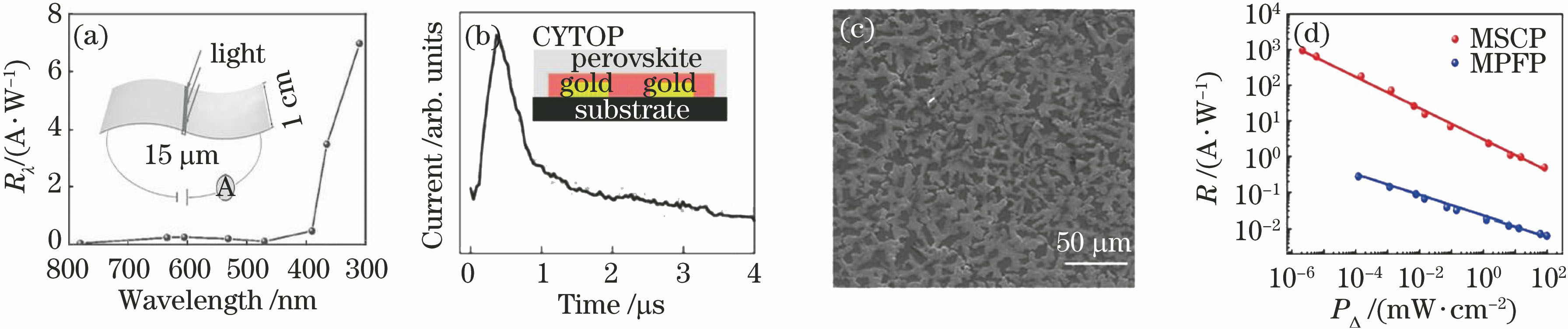 Structures and performances of photoconductive type perovskite photodetectors. (a) Device configuration (the inset) and the wavelength dependent responsivity for a MAPbI3 polycrystalline film photodetector[41]; (b) device configuration (the inset) and the transient response of a CYTOP-protected photodetector based on MAPbI3-xClx polycrystalline film[38]; (c) MAPbI3 polycrystalline film with island-structured morphology[50]; (d) comparison of irradiance power-dependent responsivity between a sing