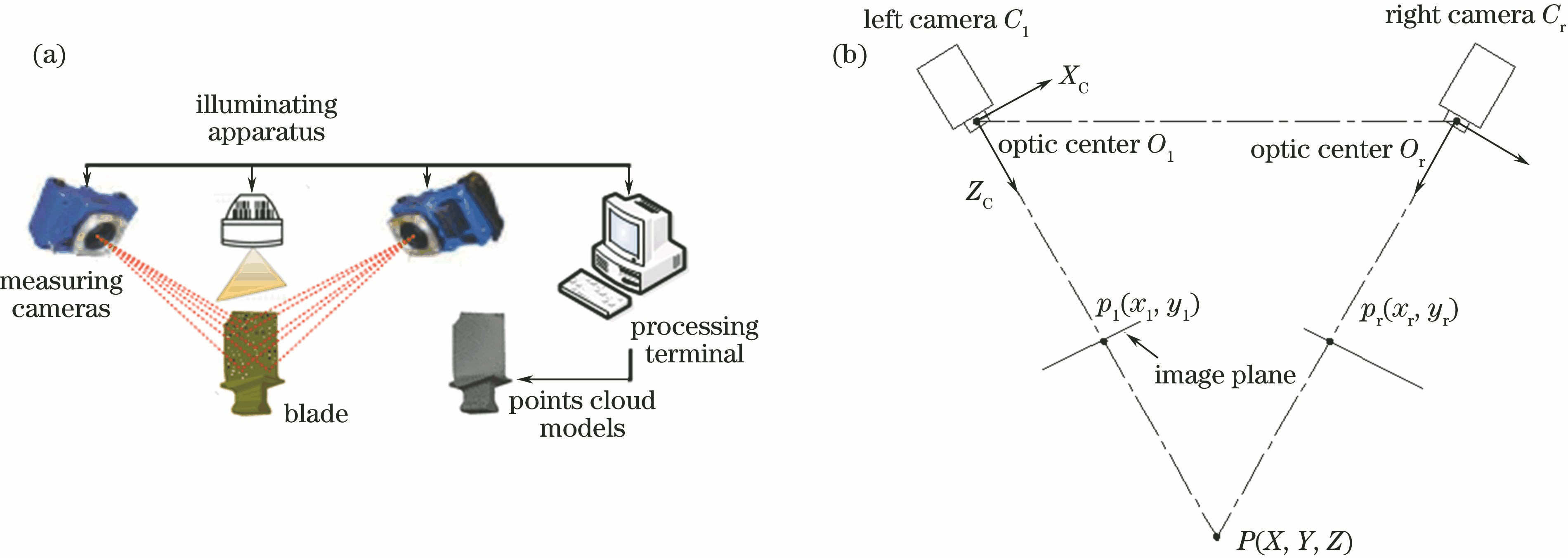 (a) Speckle vision system and (b) its two-dimensional schematic diagram