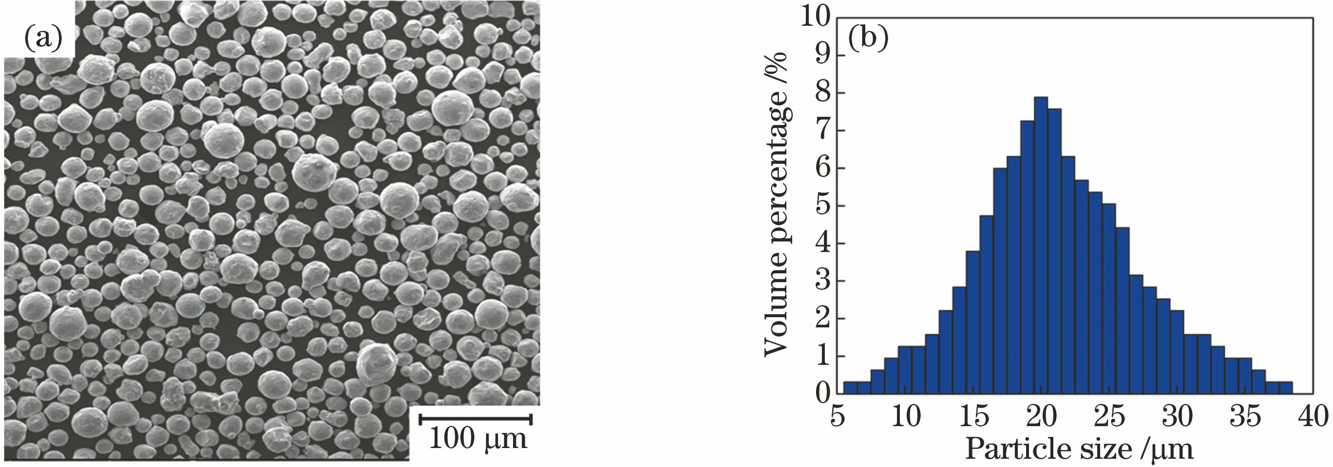 316L stainless steel powder. (a) Morphology; (b) particle size distribution