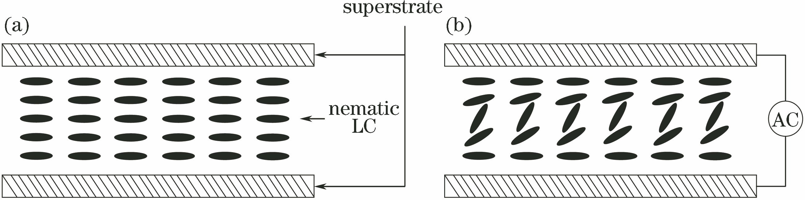 Basic structure of LCOPA. (a) Without voltage applied; (b) with voltage applied