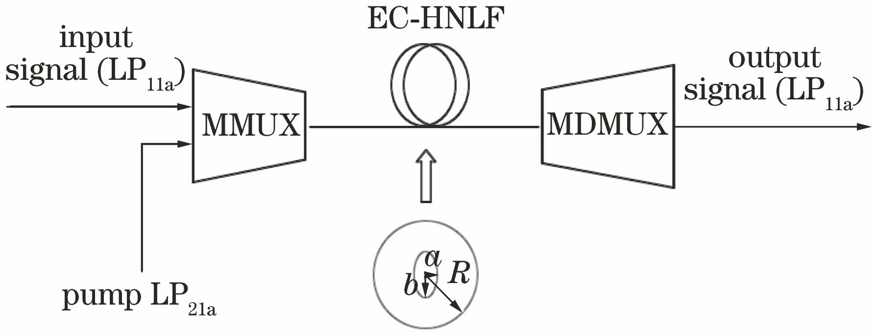 Principle diagram of FM-FOPA