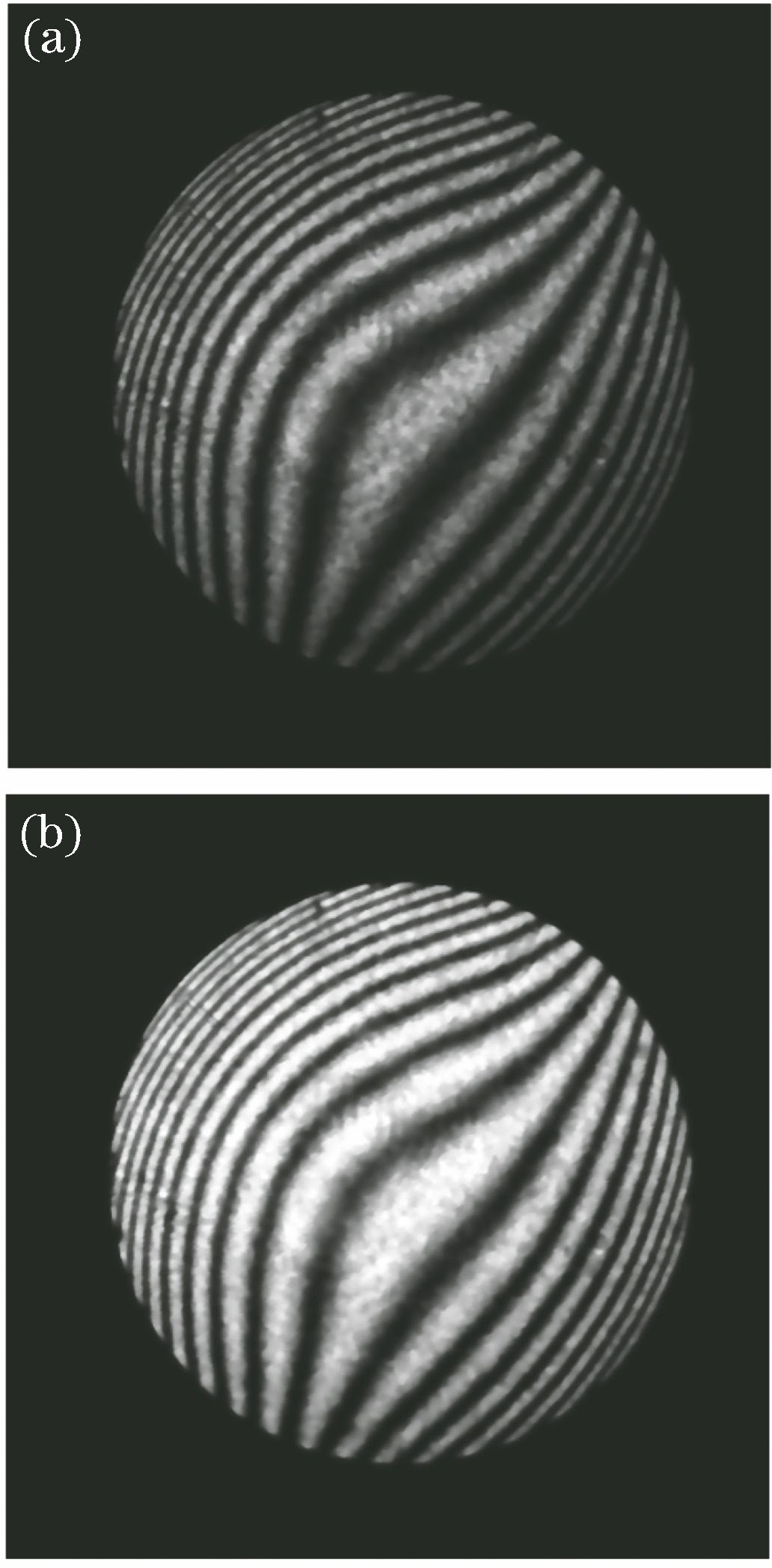 Equalization processing of histogram. (a) Original image of interference fringe; (b) equalization result of histogram