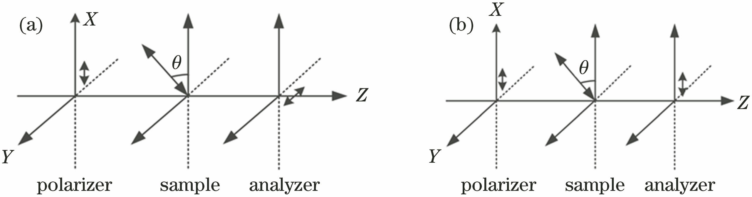 Configuration of electric vector for test system. (a) Orthogonal polarization; (b) parallel polarization