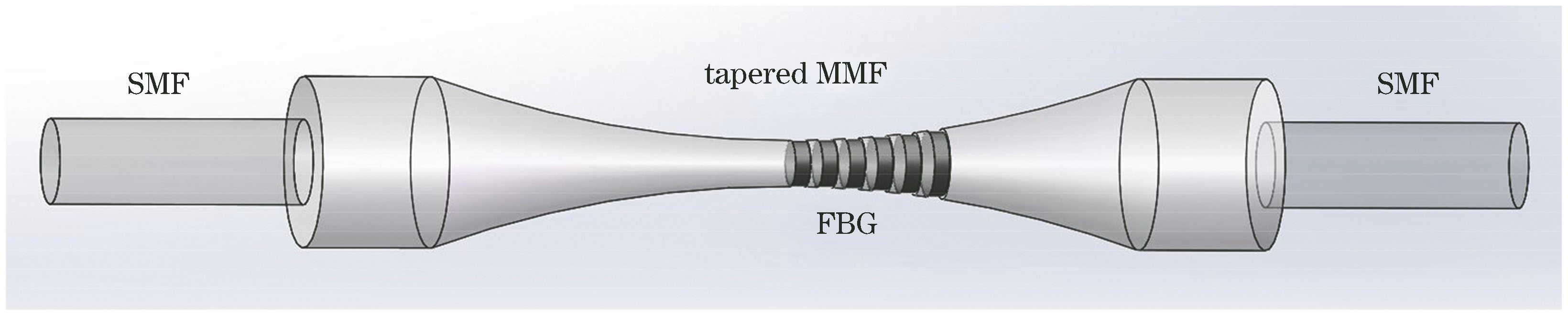 Structural schematic of STMS-FBG