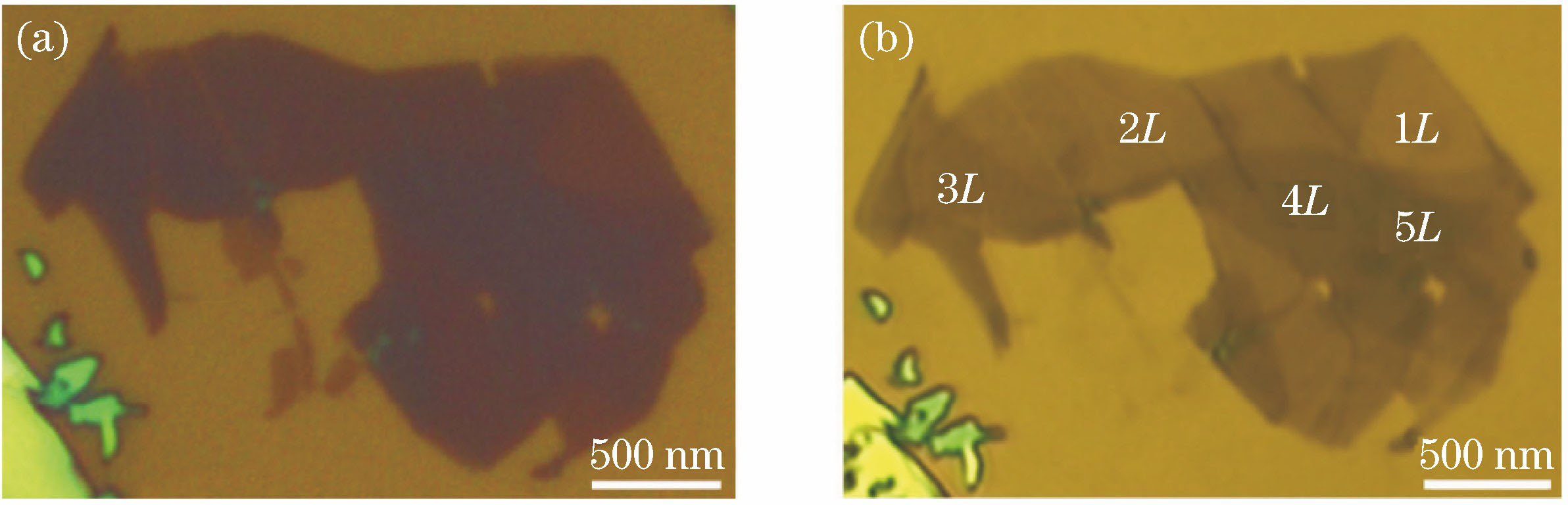 Optical images of black phosphorus before and after Ar+ plasma etching. (a) Before etching; (b) after etching