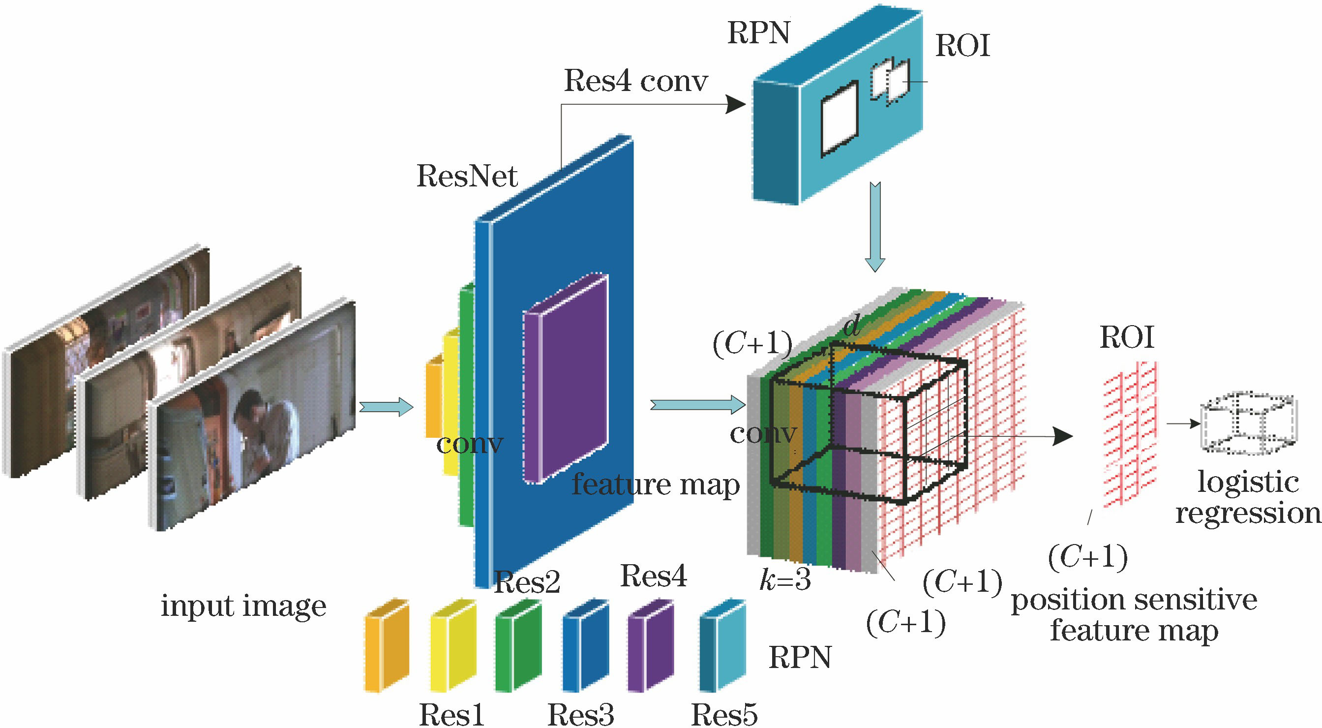 Schematic of optimized regional fully convolutional neural network model