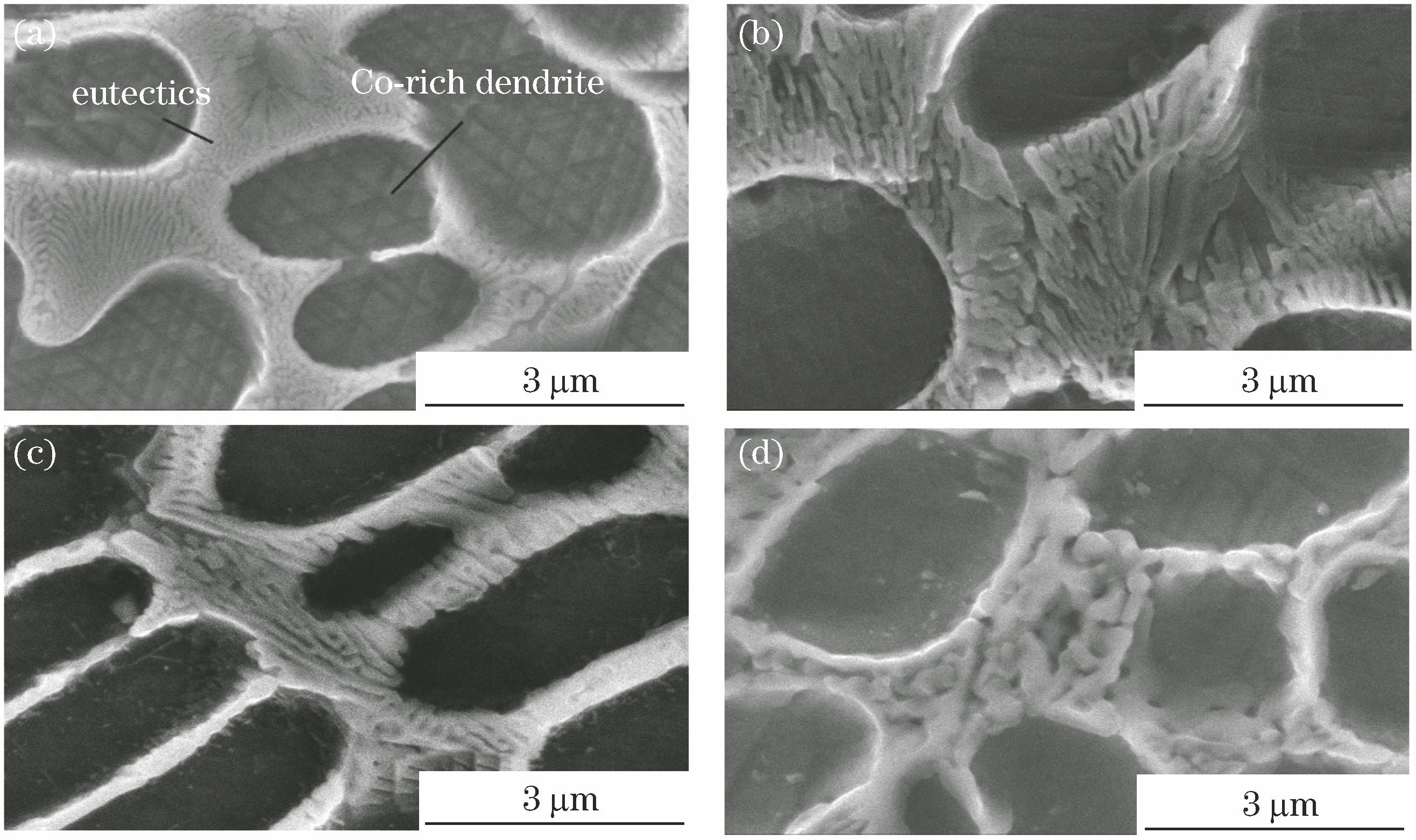 Microstructures of Stellite 6 coating after heat treating at different temperatures. (a) RT; (b) 700 ℃; (c) 800 ℃; (d) 900 ℃