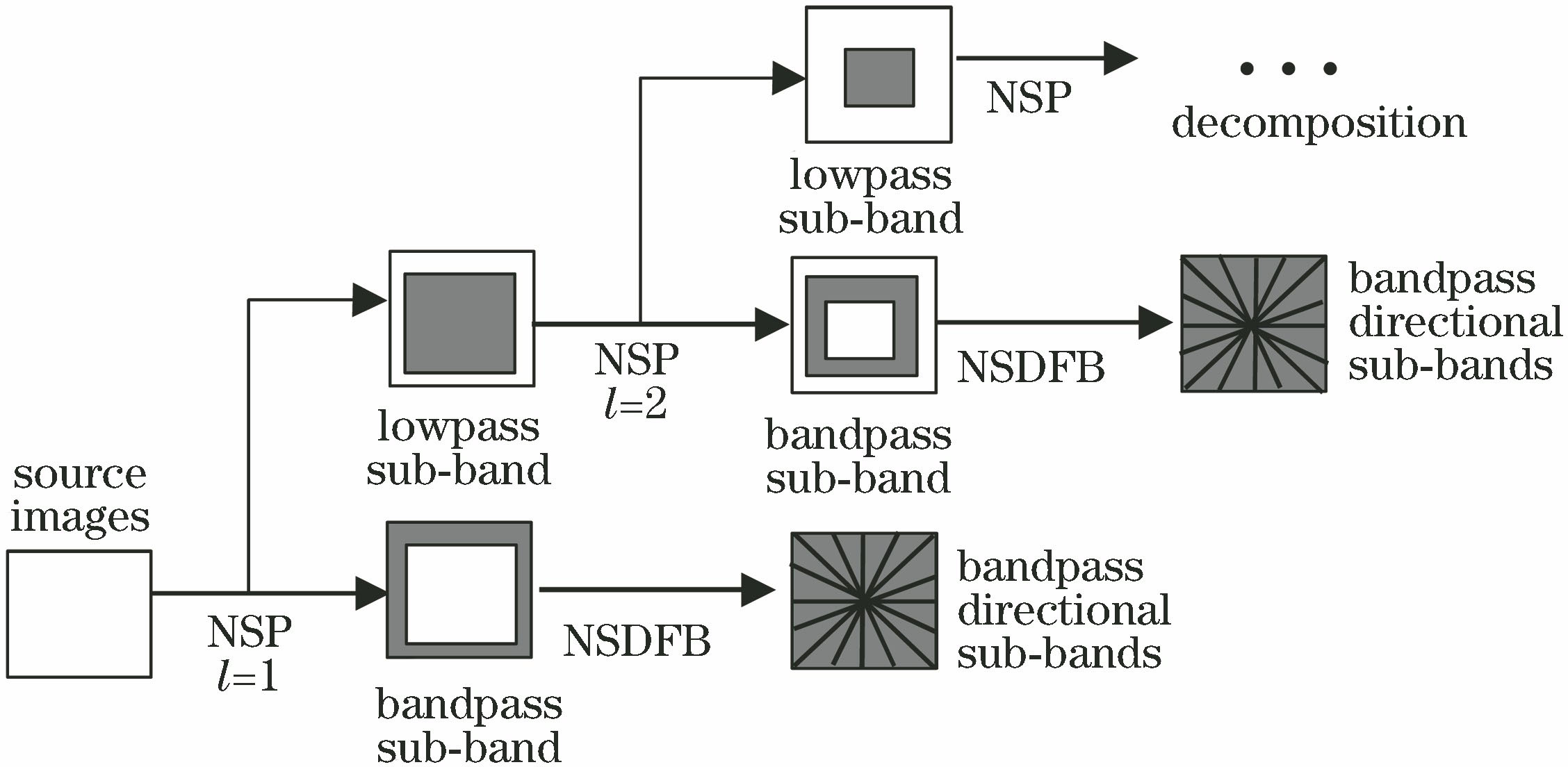 Diagram of NSST decomposition process