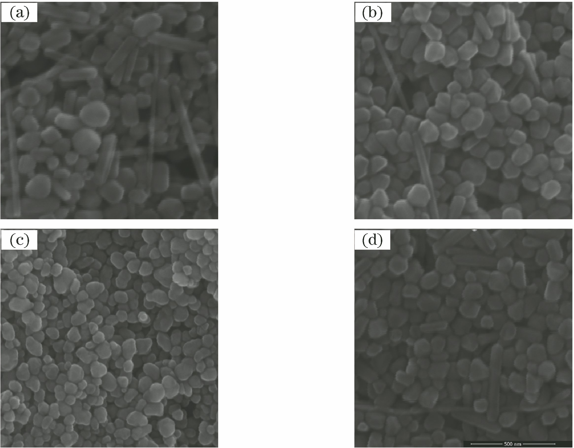 SEM images of silver nanoparticles with different particle diameters. (a) P1 silver nanoparticles; (b) P2 silver nanoparticles; (c) P3 silver nanoparticles; (d) P4 silver nanoparticles