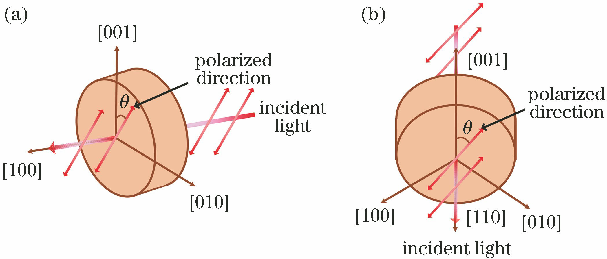 Relative position between polarization direction of incident laser and crystal axis of Cr4+∶YAG. (a) [100]-cut; (b) [110]-cut