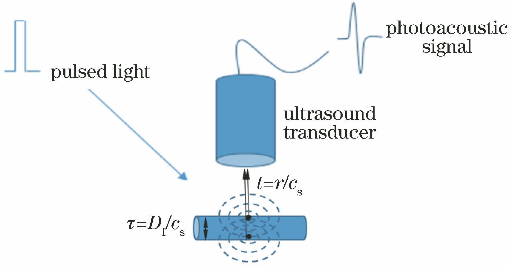 Diagram of photoacoustic signal excitation and detection