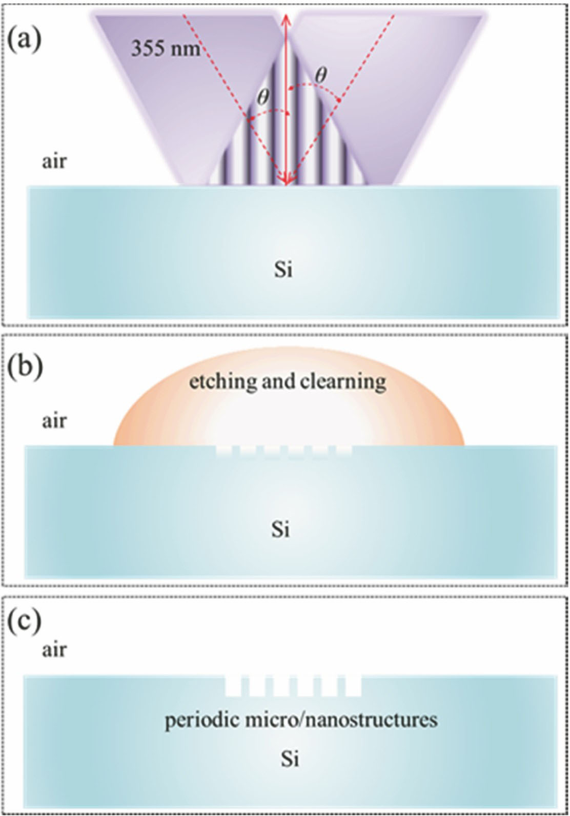 Mechanism of laser interference ablation on Si. (a) Two-beam interference ablation; (b) HF etching process; (c) final sample