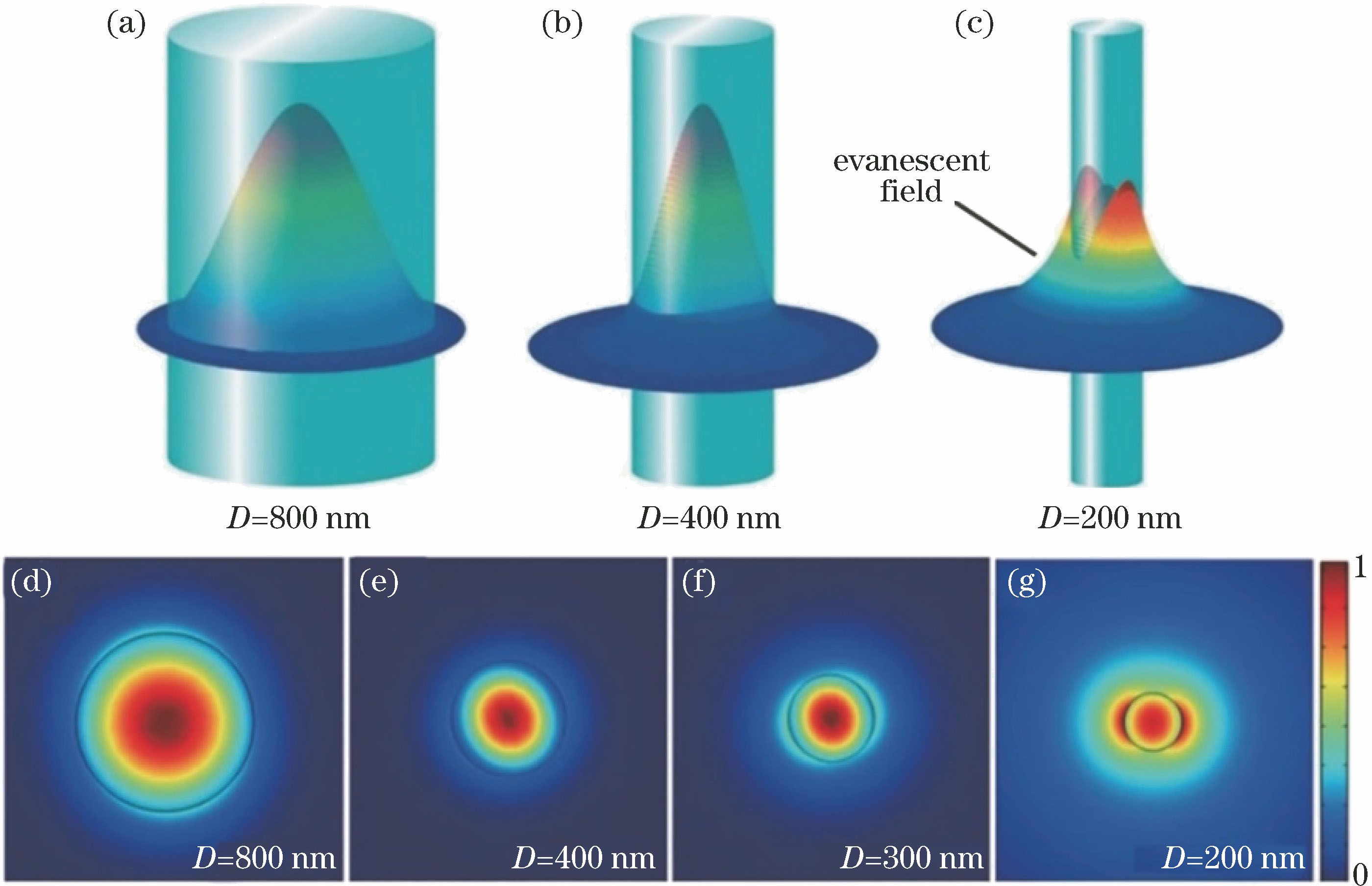 Spatial distributions of optical fields guided by MNF[4]. 3D view of z-direction Poynting vectors of MNF at 633 nm wavelength with diameters of (a) 800 nm, (b) 400 nm, (c) 200 nm; 2D view of MNF with diameters of (d) 800 nm, (e) 400 nm, (f) 300 nm, (g) 200 nm