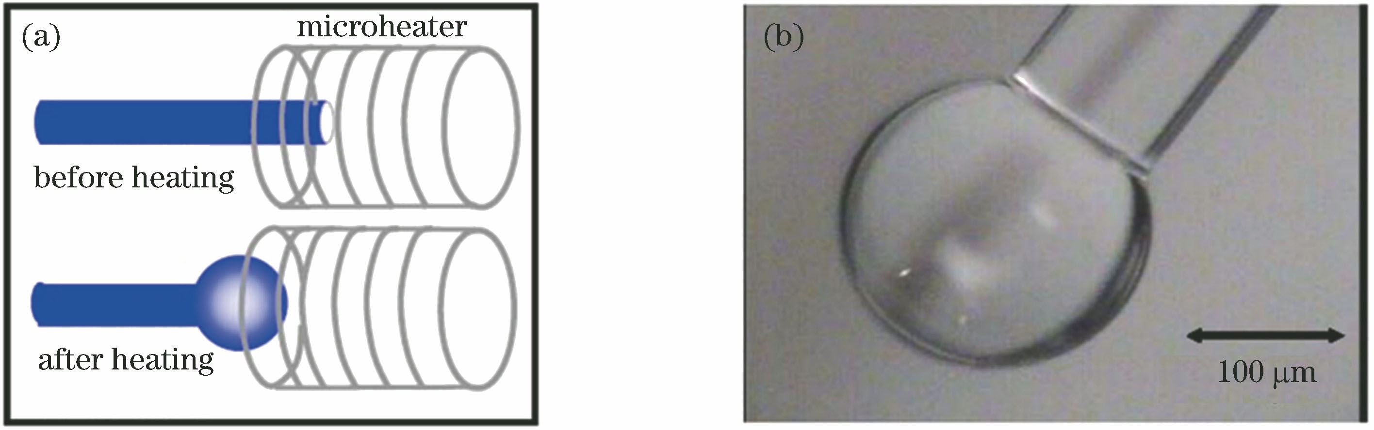 Fabrication process of microsphere. (a) Diagram of the microsphere fabrication process; (b) microsphere cavity prepared by ZBLAN fiber (the picture is processed optimization)