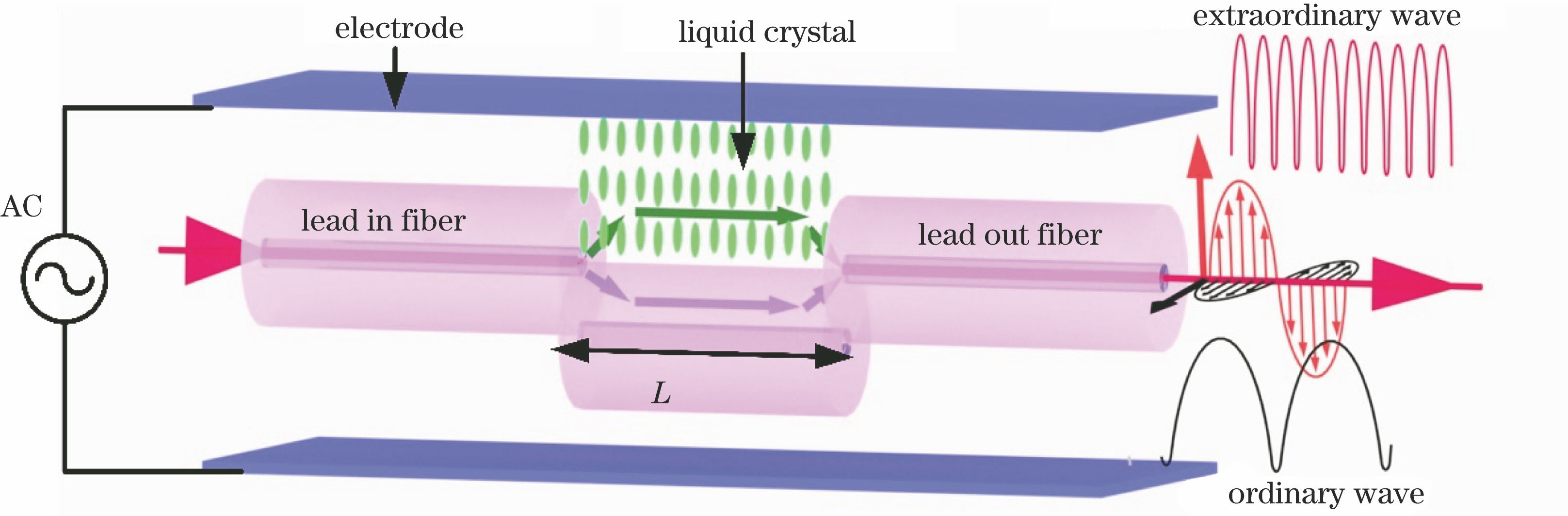 Schematic of U-shaped optical fiber cavity filled with liquid crystal