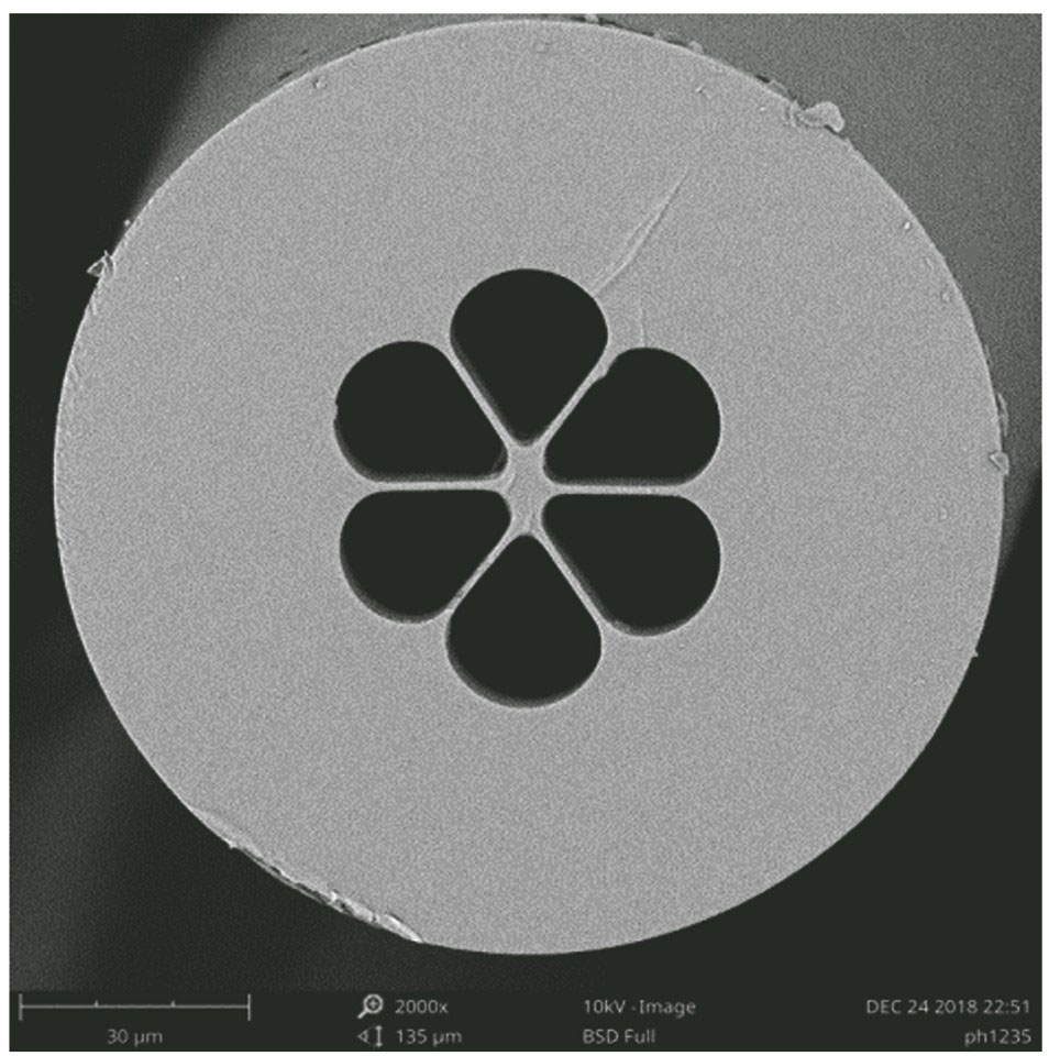 SEM image of the cross section of PM-MOF