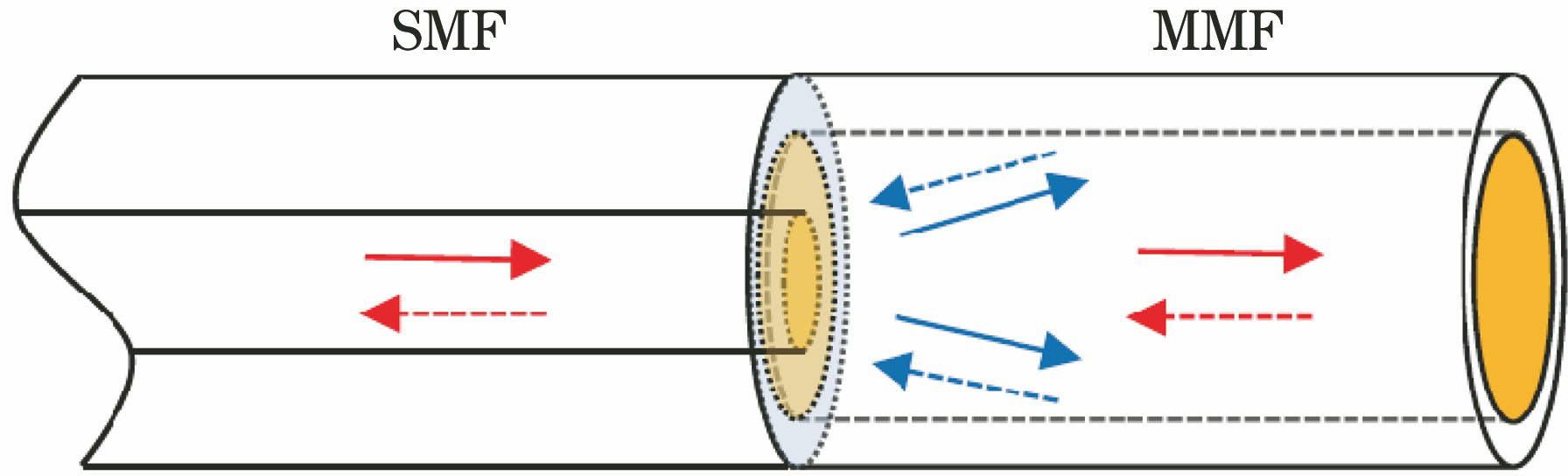 Schematic of in-fiber Michelson interference sensor