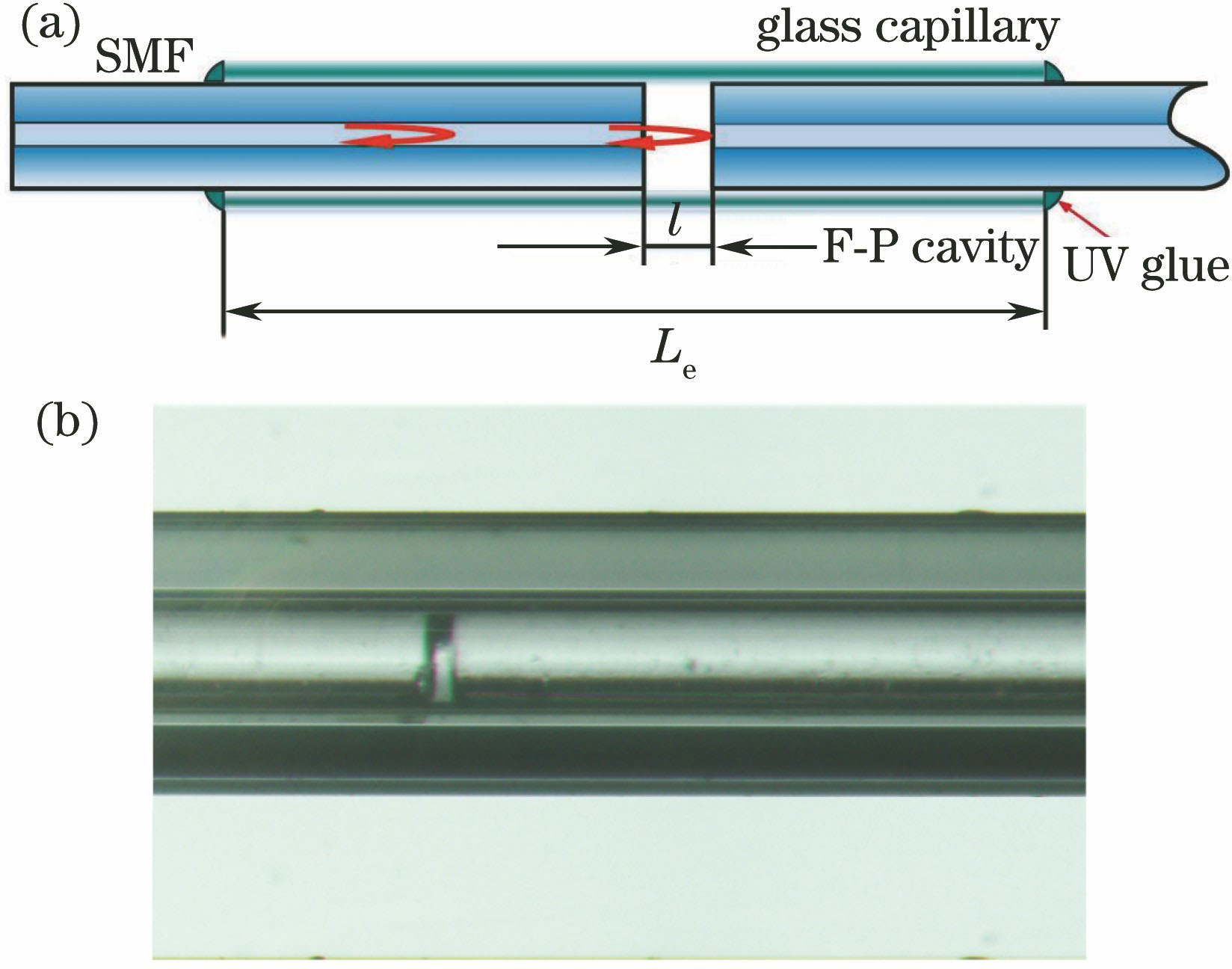 Structure of fiber-optic F-P microcavity strain sensor. (a) Diagram of sensor; (b) fabricated sensor