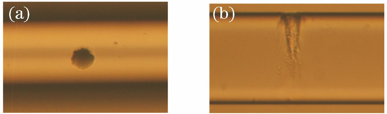Microcavity microscopy in multimode fiber. (a) Front view; (b) side view