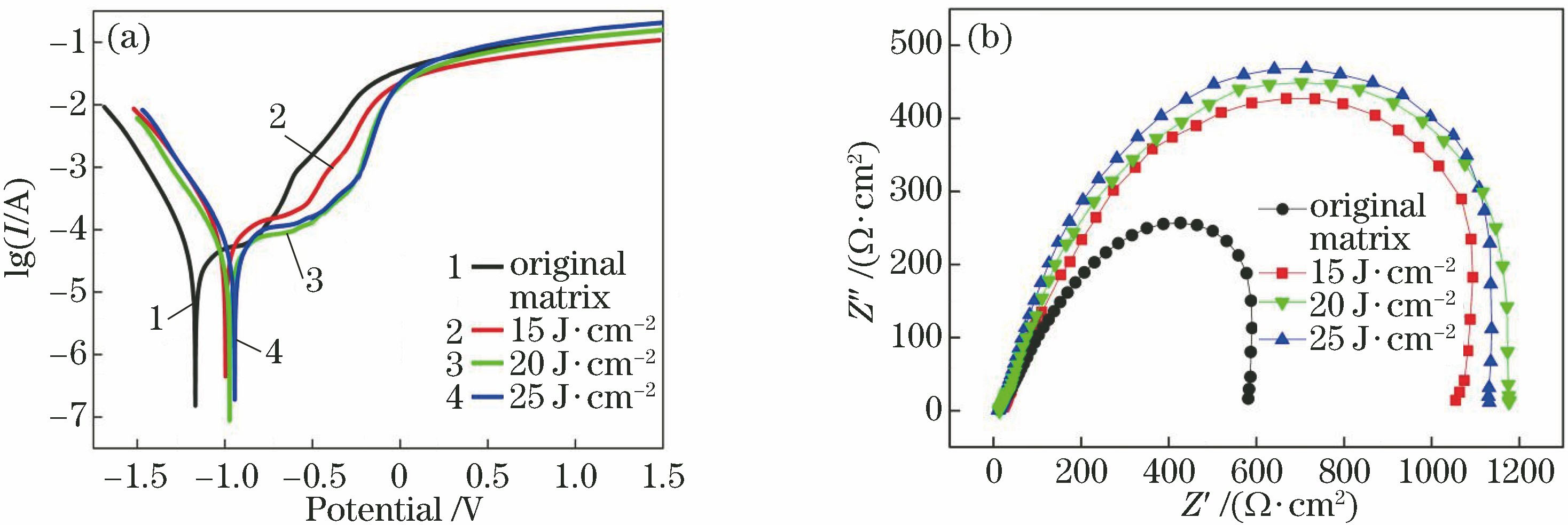 Corrosion test results of AH32 steel after cleaning at different laser energy densities. (a) Polarization curves; (b) electrochemical impedance spectroscopy