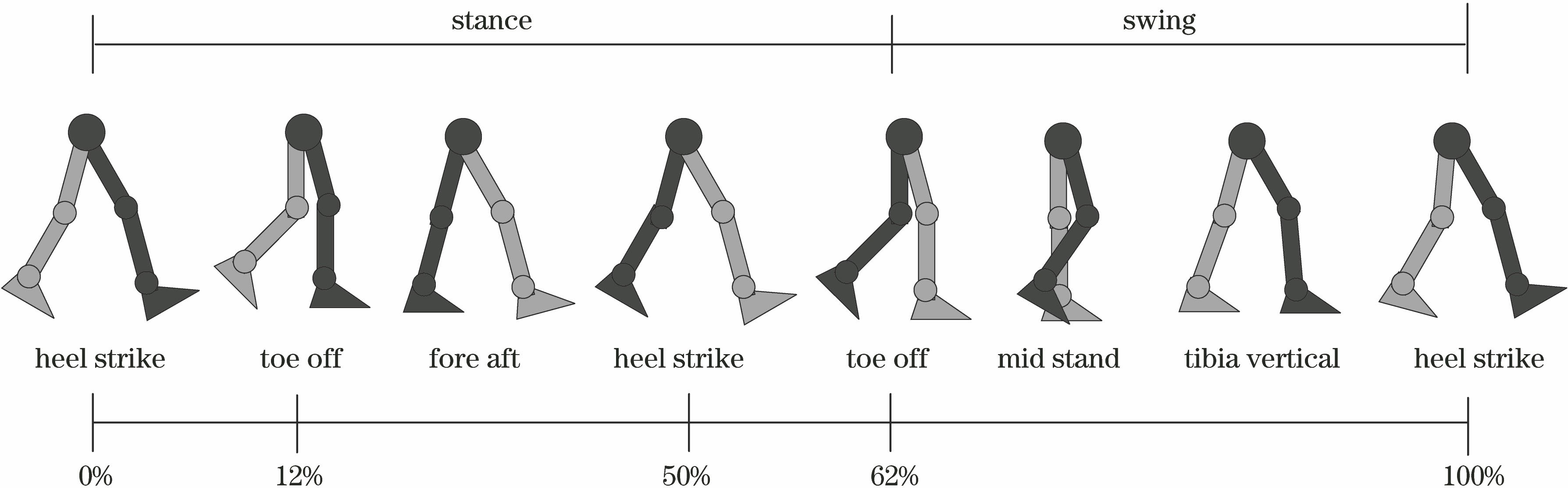 Gait events within a gait cycle