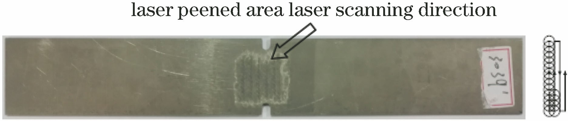 Fatigue sample after LSP and laser scanning direction
