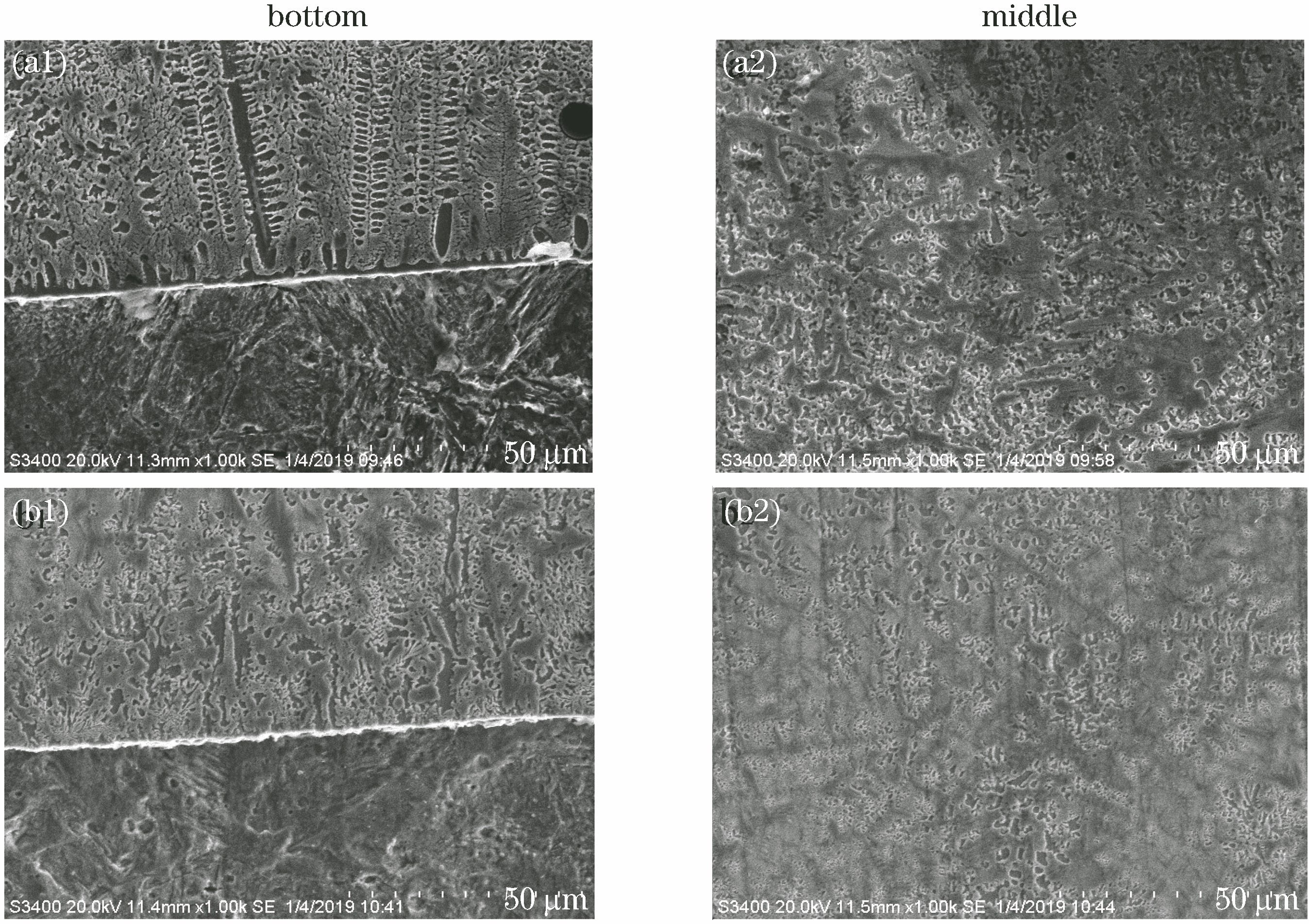 Microstructures of coatings under different process conditions. (a1)(a2) non-vacuum environment; (b1)(b2) vacuum environment