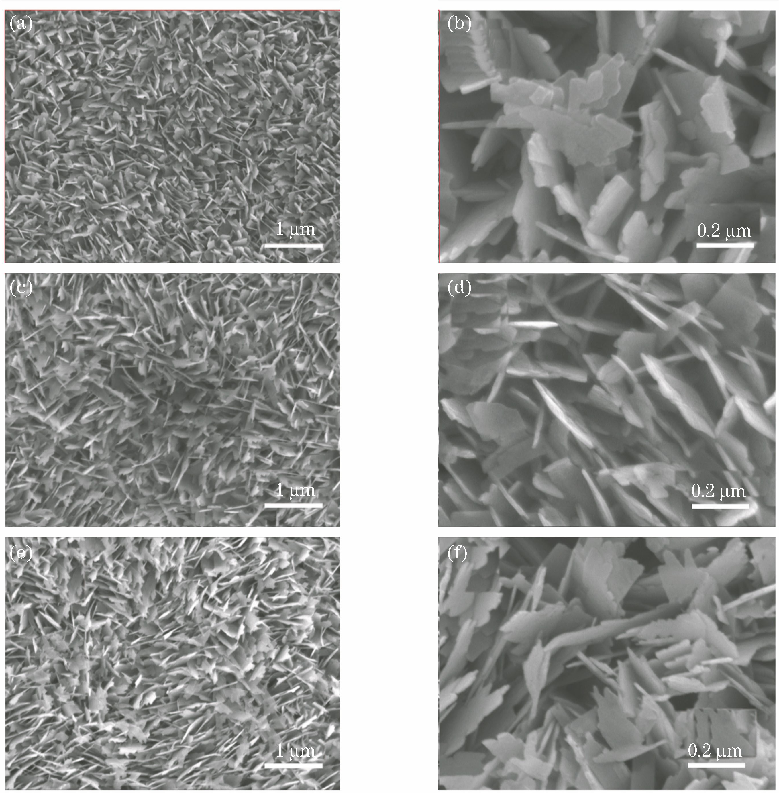 Scanning electron microscope (SEM) morphologies of CuO nanosheet arrays synthesized under different reaction time of water bath. (a) 5 min, low power; (b) 5 min, high power; (c) 10 min, low power; (d) 10 min, high power; (e) 15 min, low power; (f) 15 min, high power