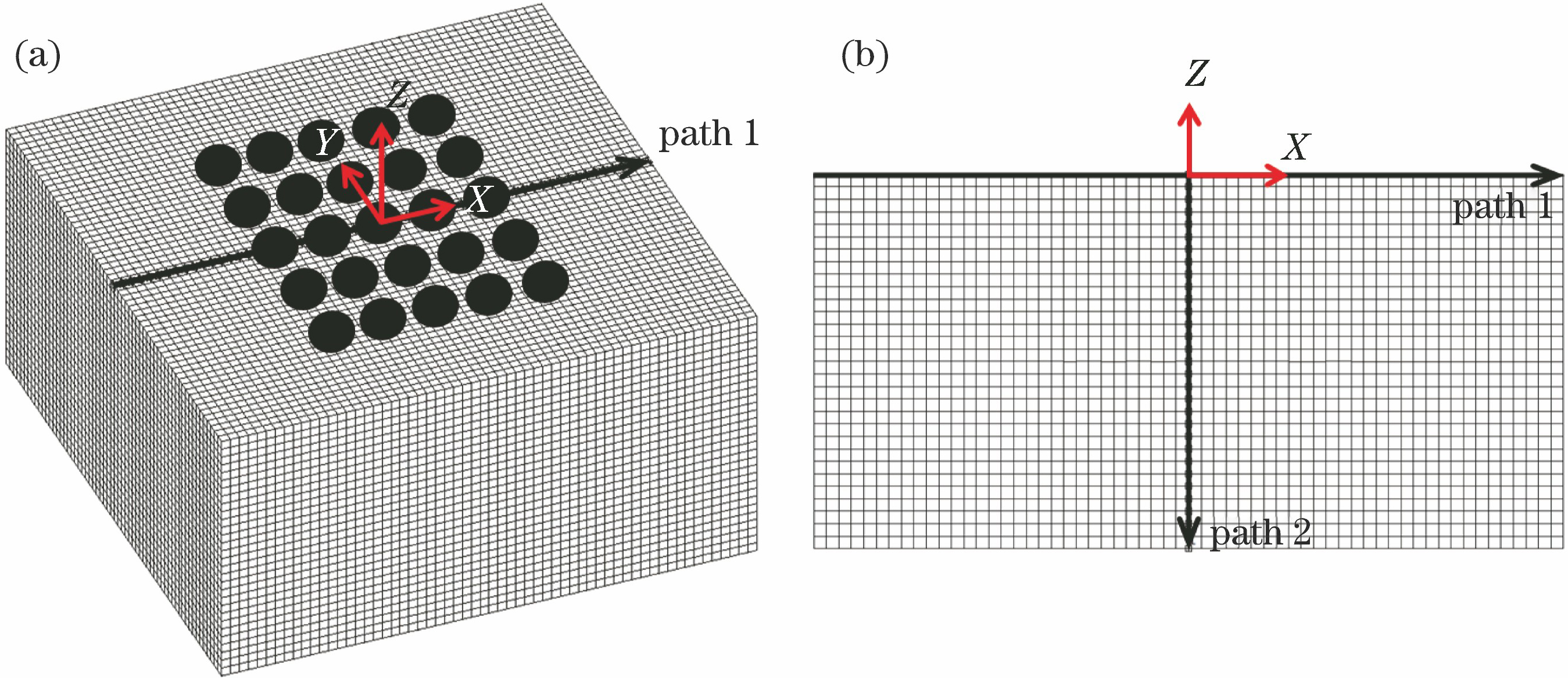 Finite element mesh model. (a) Three-dimensional model; (b) X-Z section