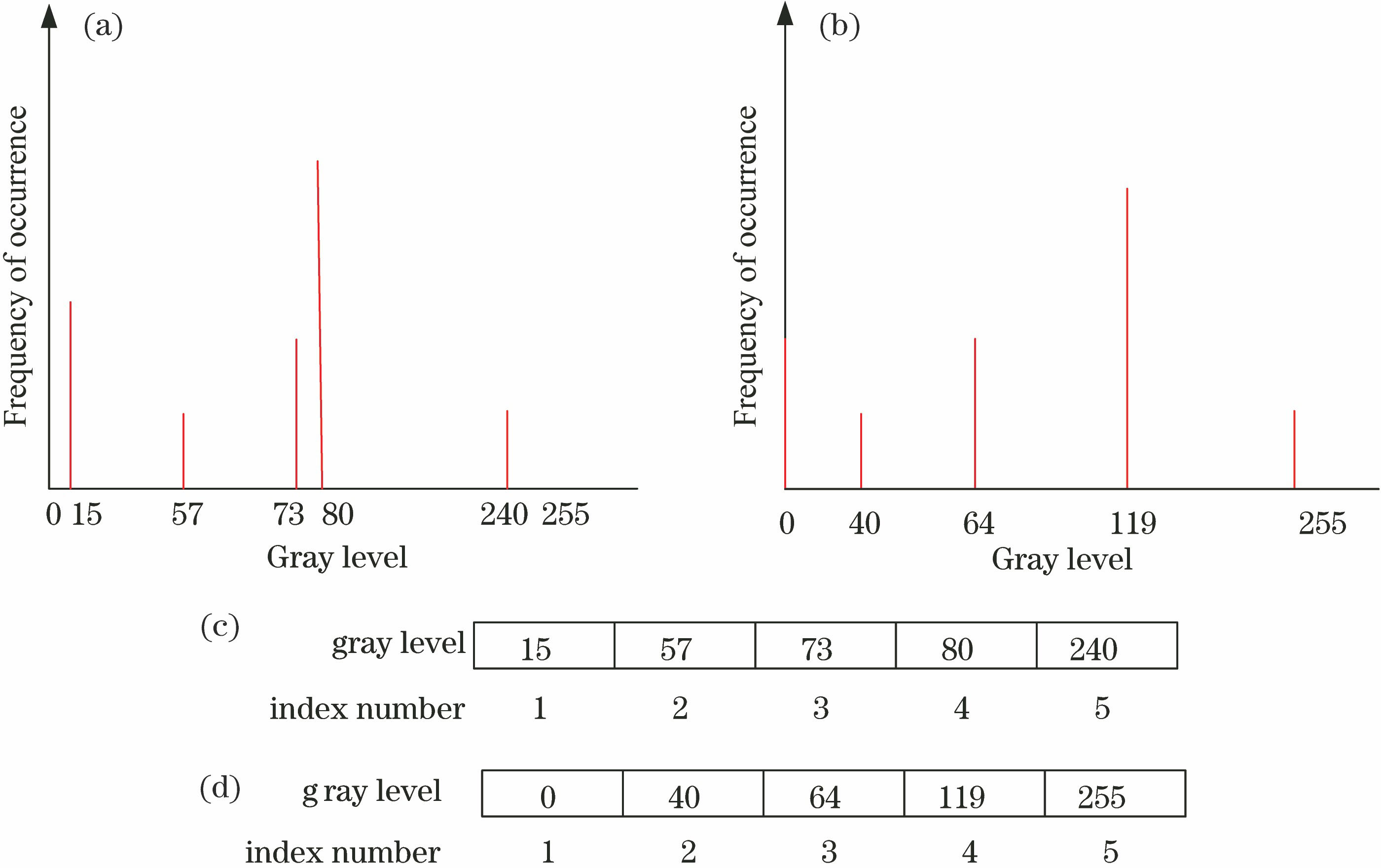 Schematics of chromosome structure before and after mapping. (a) Distribution of gray value of original image; (b) gray value distribution of remapped image; (c) original chromosome structure; (d) remapped chromosome structure