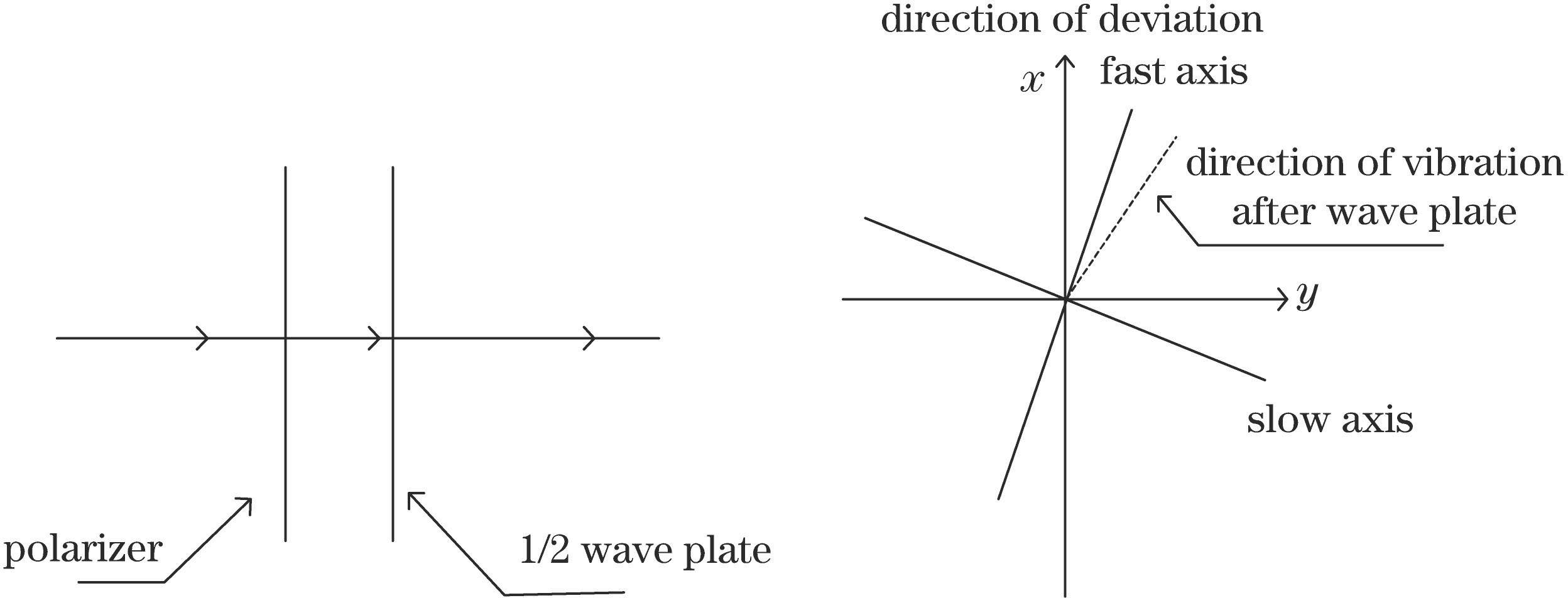 Vibration direction changes of incident light after passing through polarizer and 1/2 wave plate