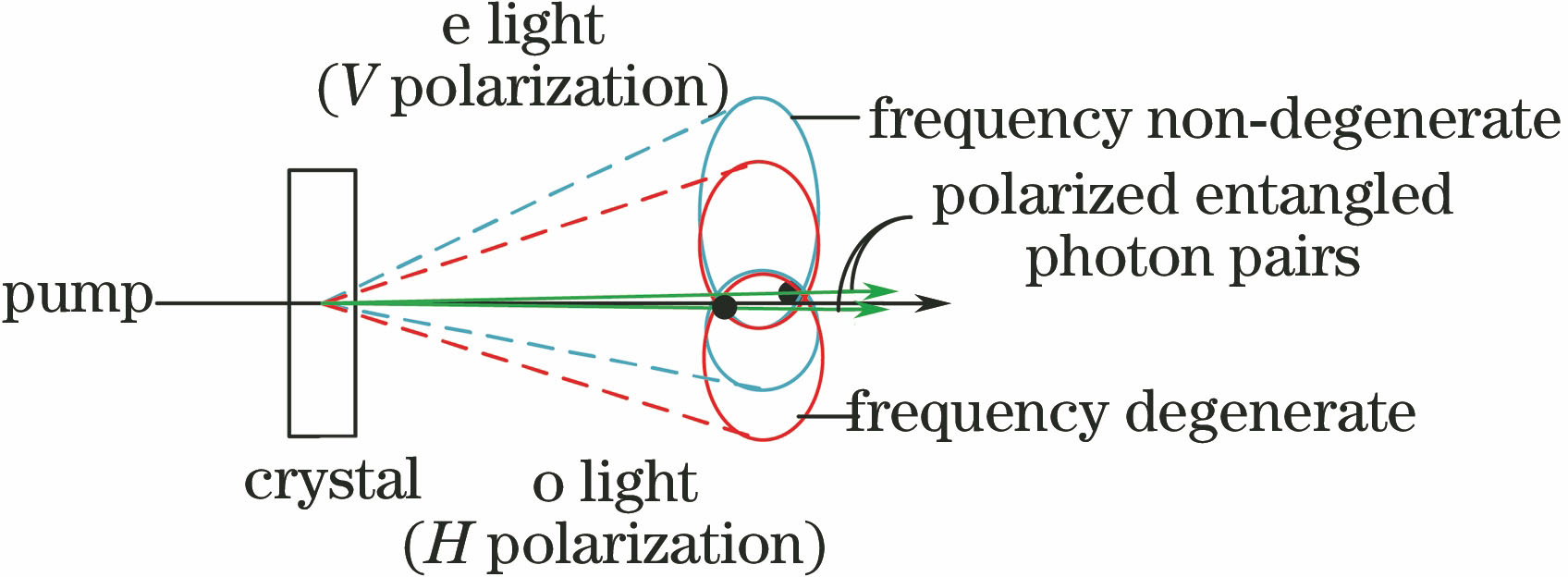 Illustration of type-II SPDC light field