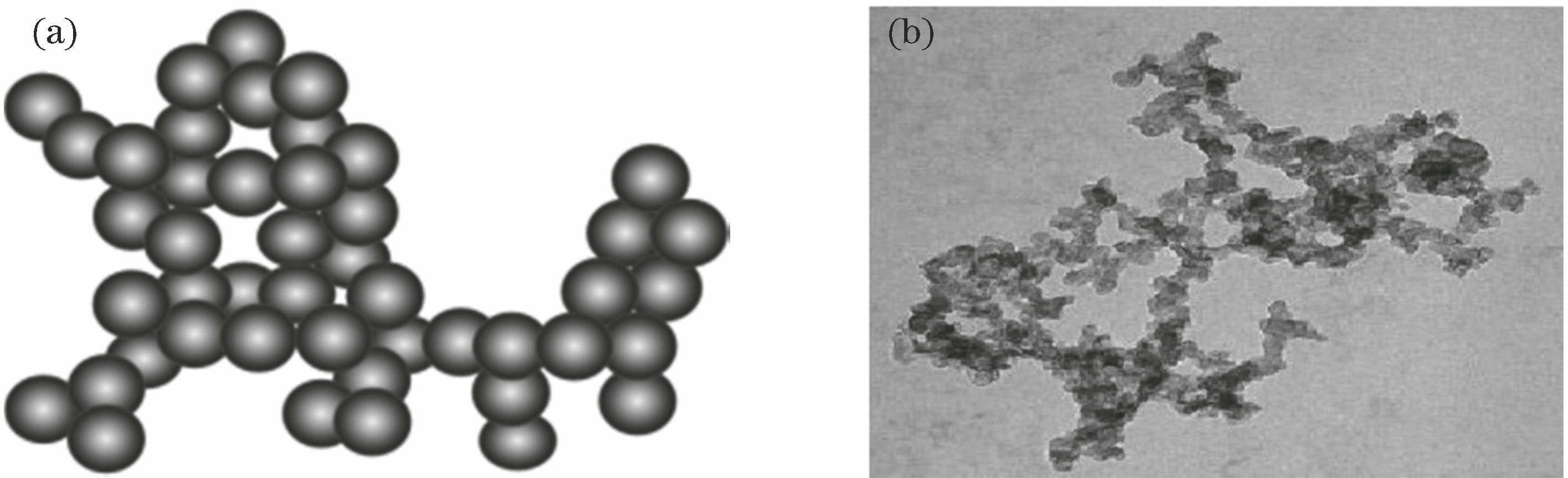 Particle aggregation of soot. (a) Soot cluster model based on CCA simulation; (b) soot morphology under microscope