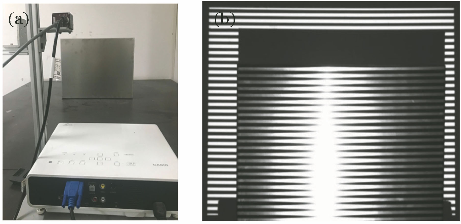 Experimental setup and results. (a) Scanning system; (b) deformed fringe of stainless steel plate in one frame time