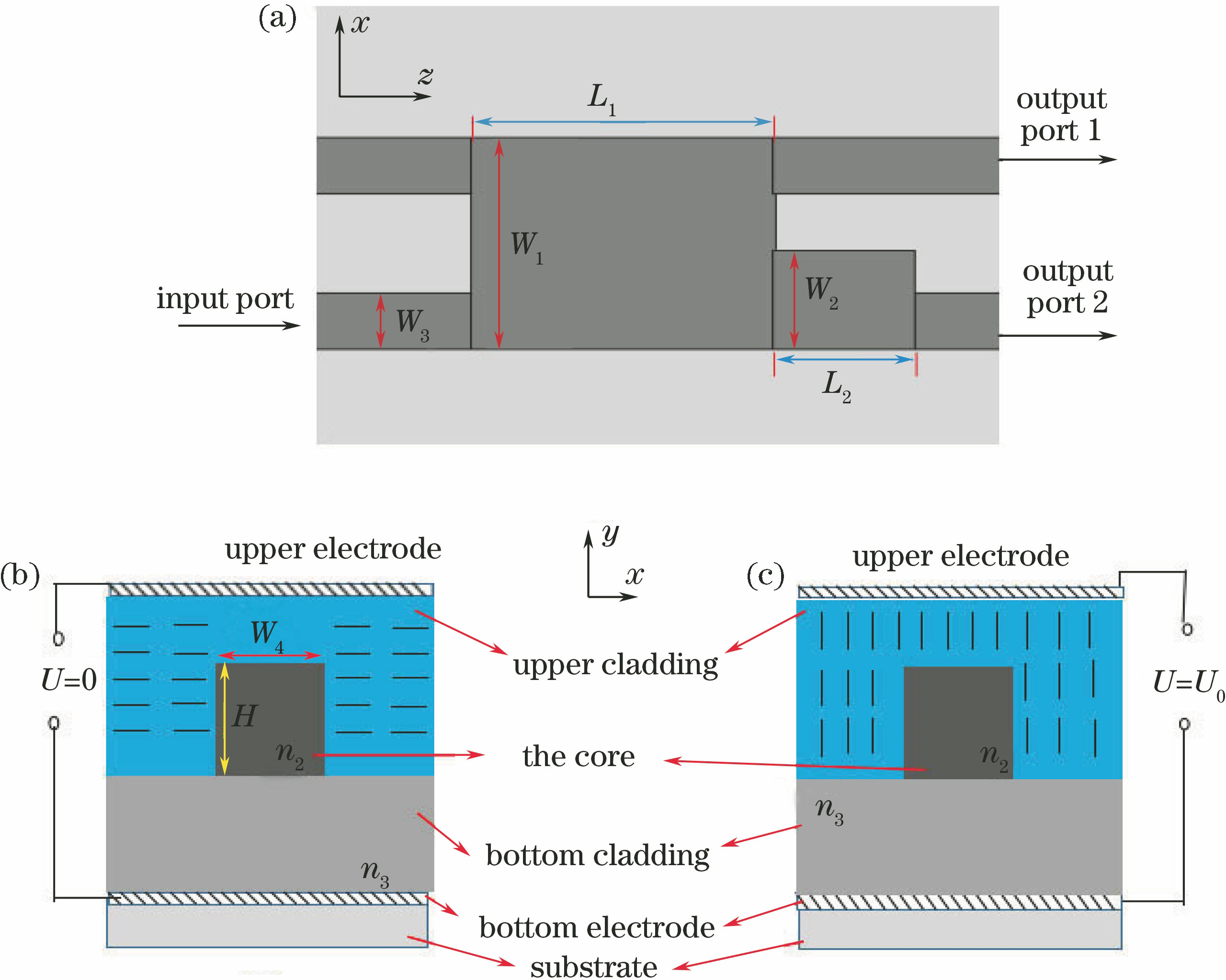 Schematic structure of controllable polarization beam splitter. (a) Top view; cross-sectional view when the liquid crystal director is (b) in horizontal states and (c) in vertical states