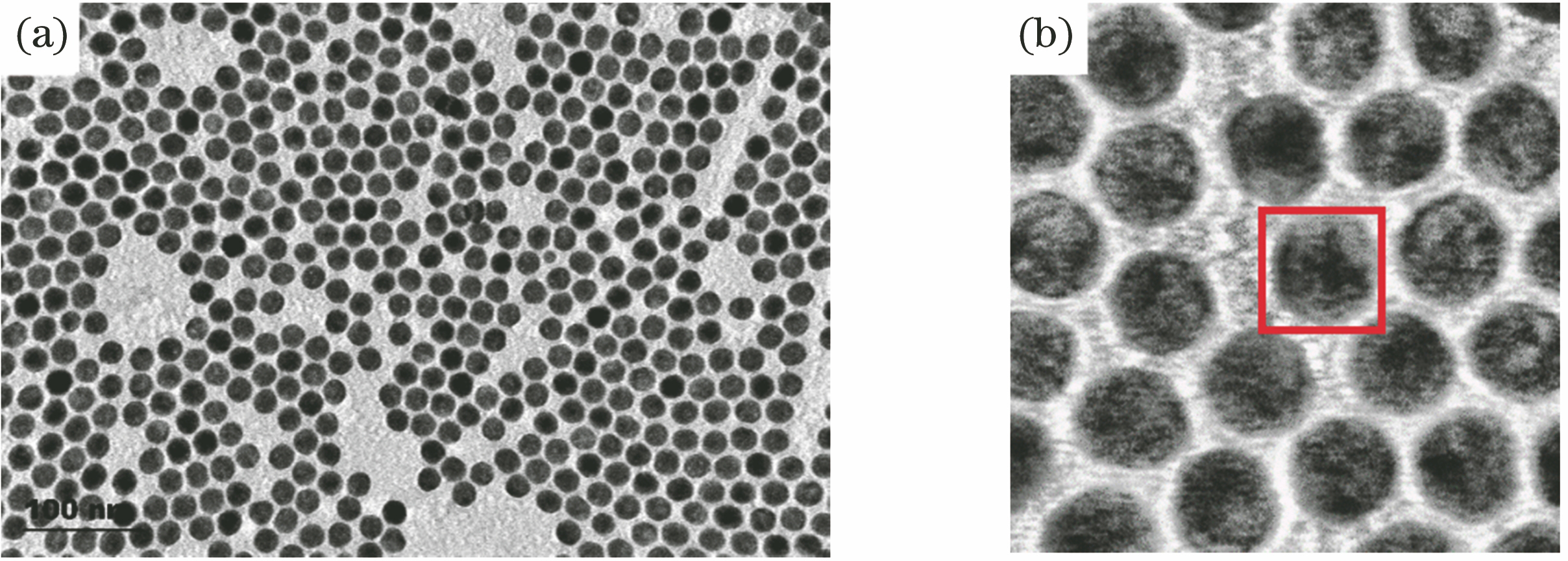 Spherical nanoparticle image taken by TEM and its partially enlarged view. (a) TEM image; (b) partially enlarged view