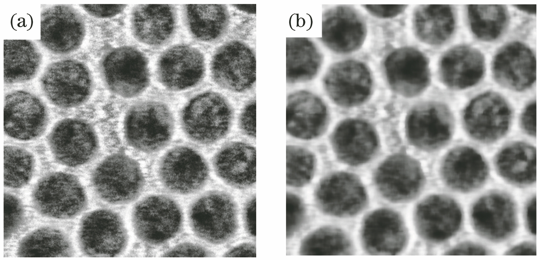 Filtering results by partial differential equation. (a) Original nanoparticle image; (b) filtering result
