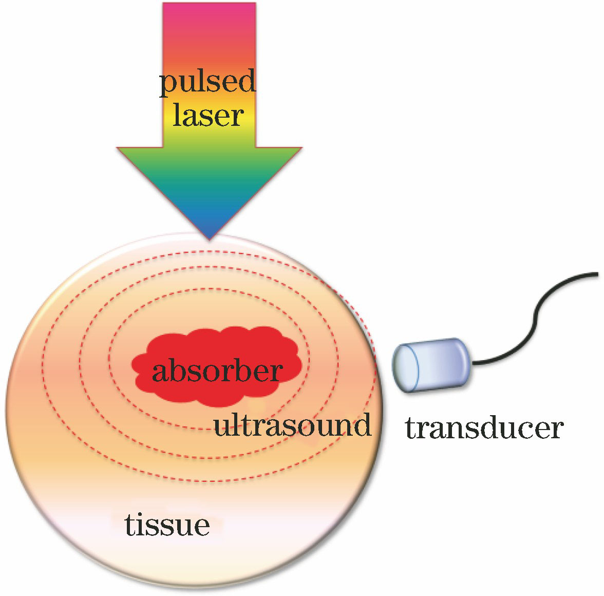 Principle of photoacoustic imaging