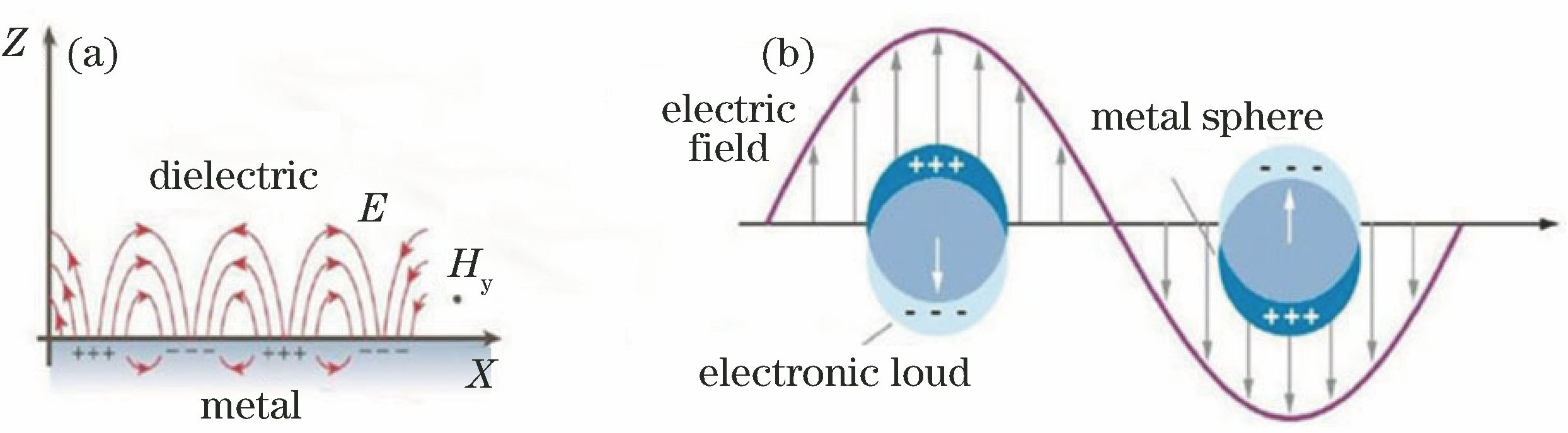 Electromagnetic field excitation processes of SPR and LSPR. (a) Schematic of electromagnetic field excitation of TM wave in metal-dielectric contact interface; (b) schematic of local surface plasmon excitation