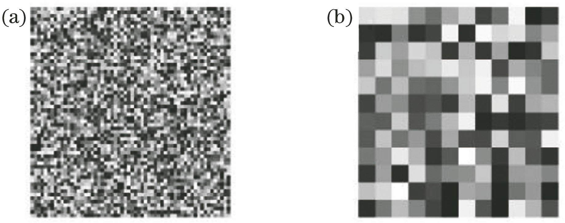 Speckle patterns of different speckle particle sizes. (a) Speckle particle size of 1 pixel×1 pixel; (b) speckle particle size of 5 pixel×5 pixel