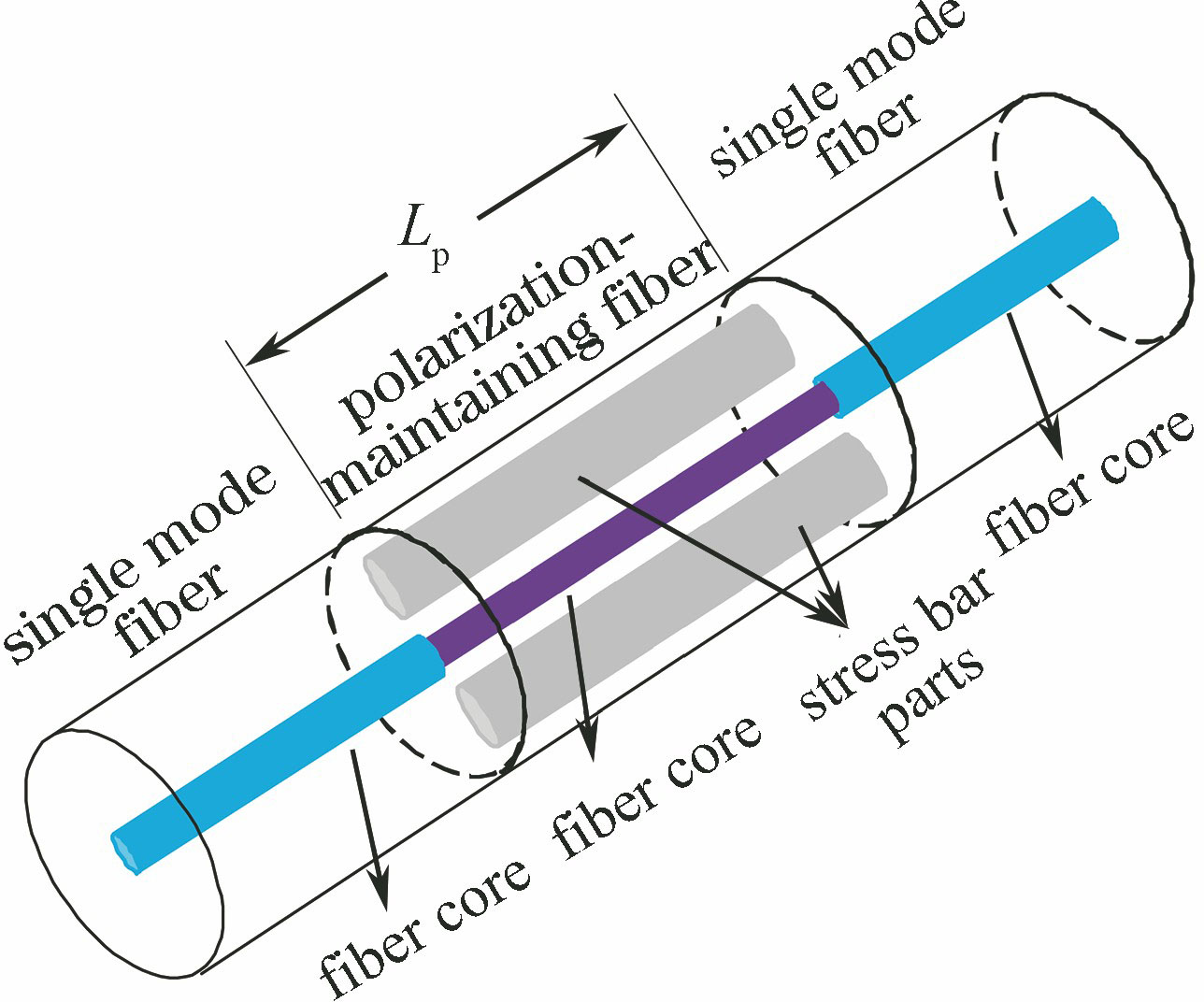 Diagram of SPS fiber sensor structure