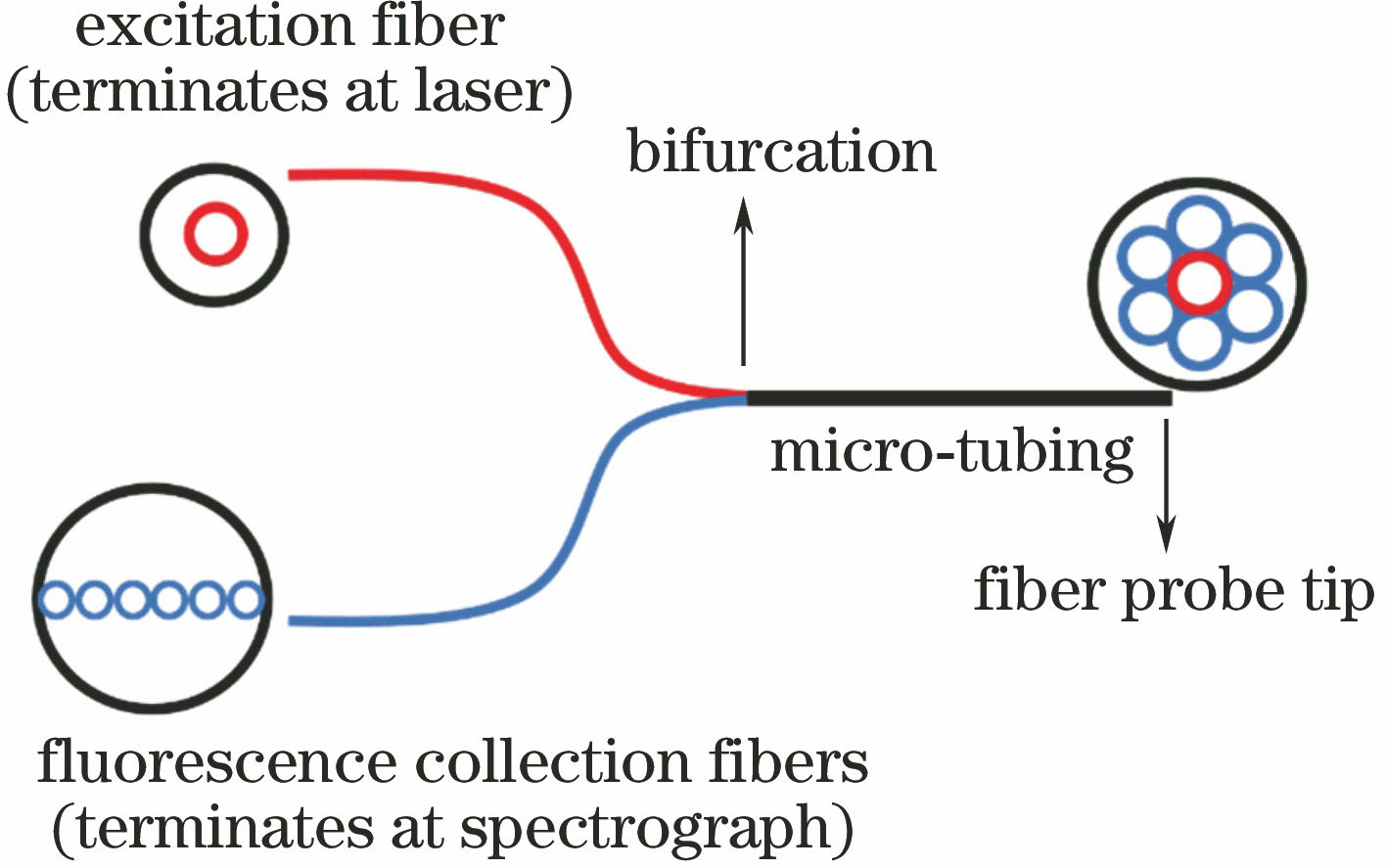 Typical system diagram of opitcal-fiber fluorescent probe