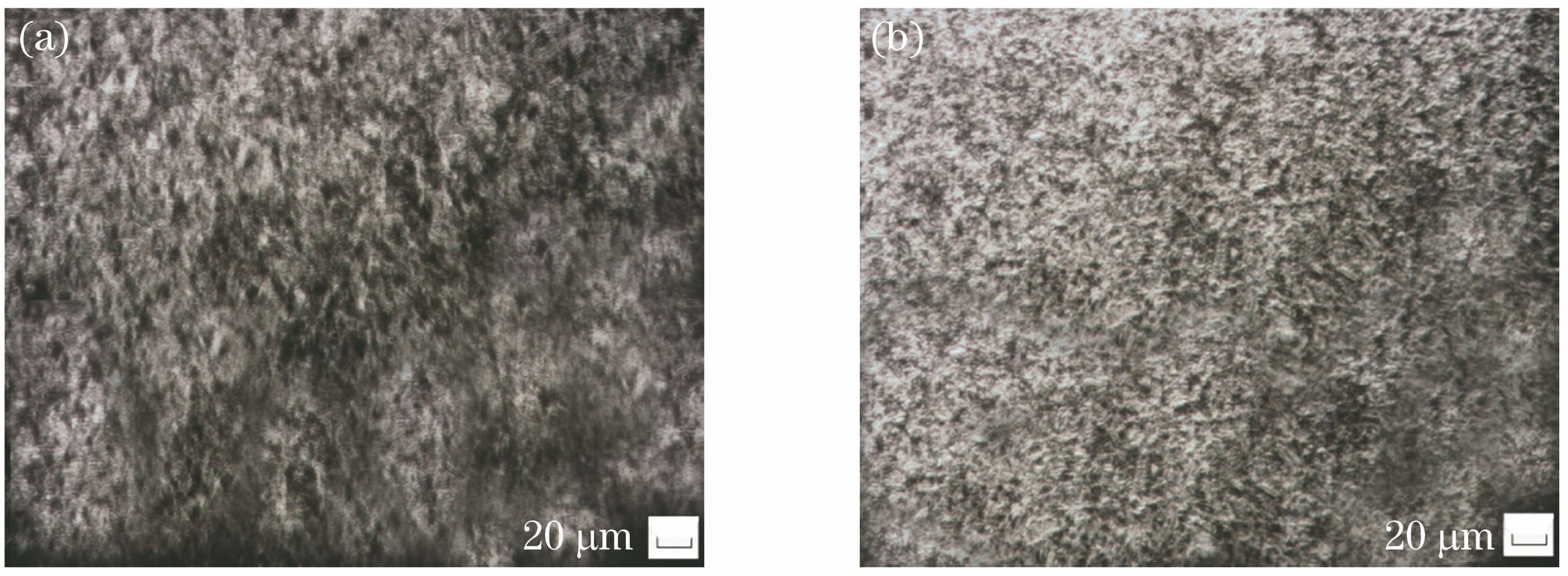 Microstructures of substrate surface and phase-transformation hardening zone after laser-quenching. (a) Substrate; (b) phase-transformation hardening zone