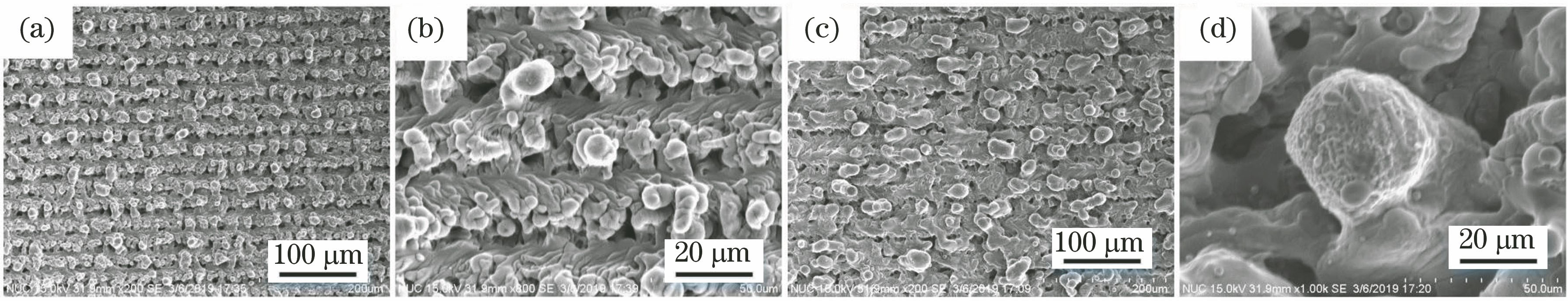 SEM images of superwetting titanium microstructures fabricated by fiber laser ablation with line spacing of 0.03 mm. (a)(b) Pulse power is 12 W;(c)(d) pulse power is 16 W
