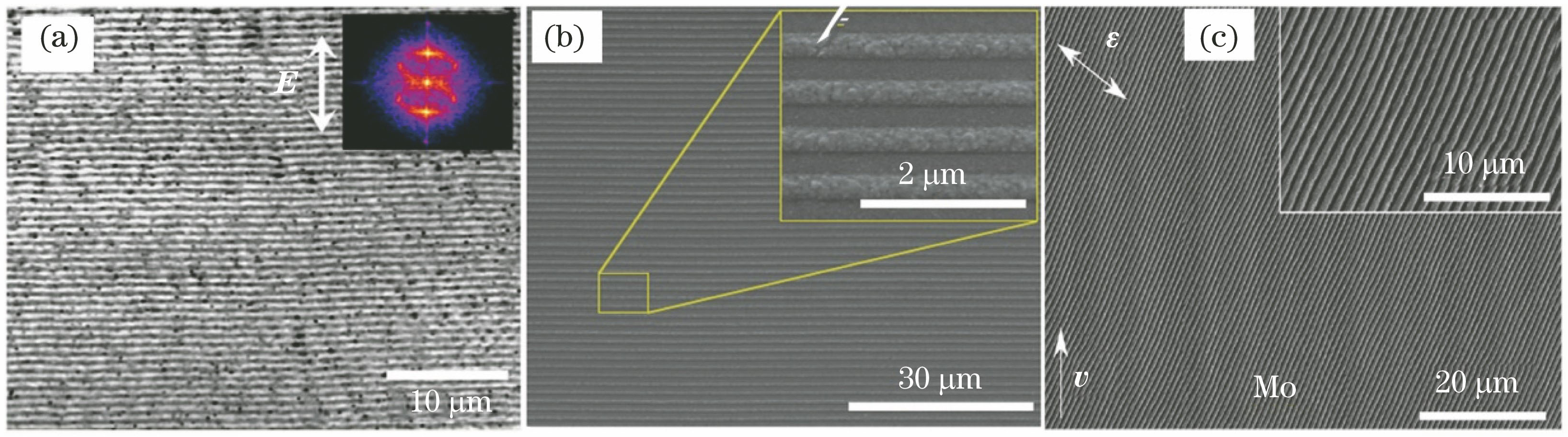 High-regular one-dimensional periodic ripple structures obtained on several metal surfaces using linearly polarized single-beam femtosecond laser incidence. (a) 1 μm chromium film[89]; (b) 50 nm titanium film[90]; (c) 300 nm molybdenum film[91]