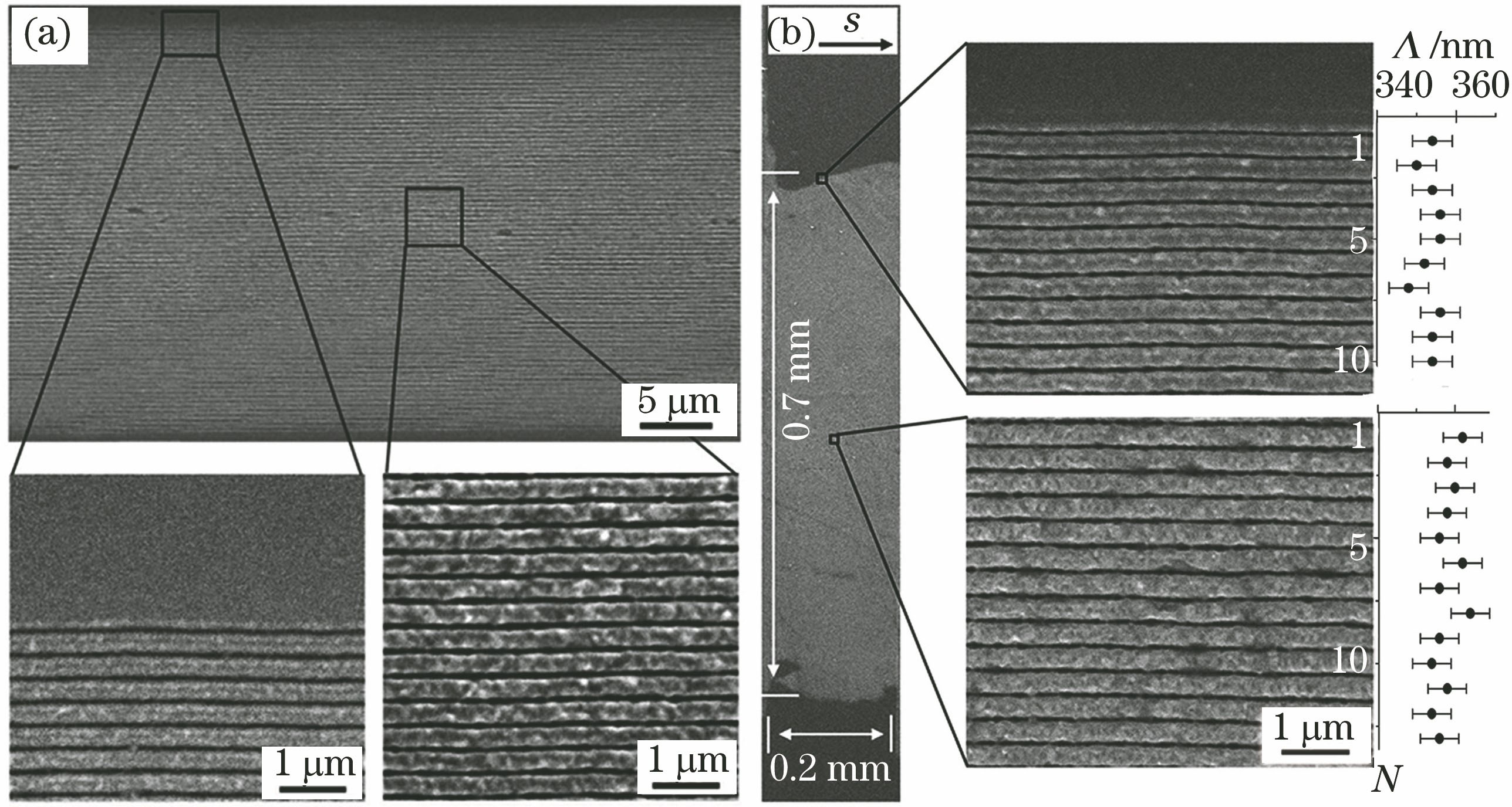 Highly regular one-dimensional periodic ripple structures on 25 nm Cr film by linearly polarized single-beam femtosecond laser beam under vacuum condition of 1.0×10-4 Pa[92]. (a) Focusing with a convex lens; (b) focusing with a cylindrical lens