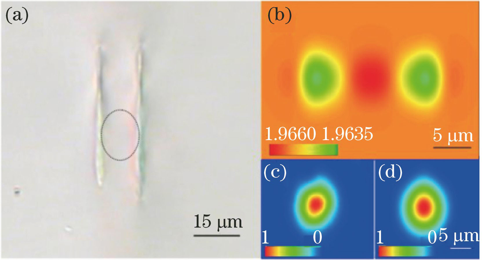 Dual-line waveguides in Nd∶GGG crystals. (a) Microscopic image of dual-line waveguide in Nd∶GGG crystals fabricated by femtosecond laser; (b) simulated refractive-index profile at end-face of waveguide; (c)(d) measured and calculated mode profiles at wavelength of 632.8 nm, respectively[74]
