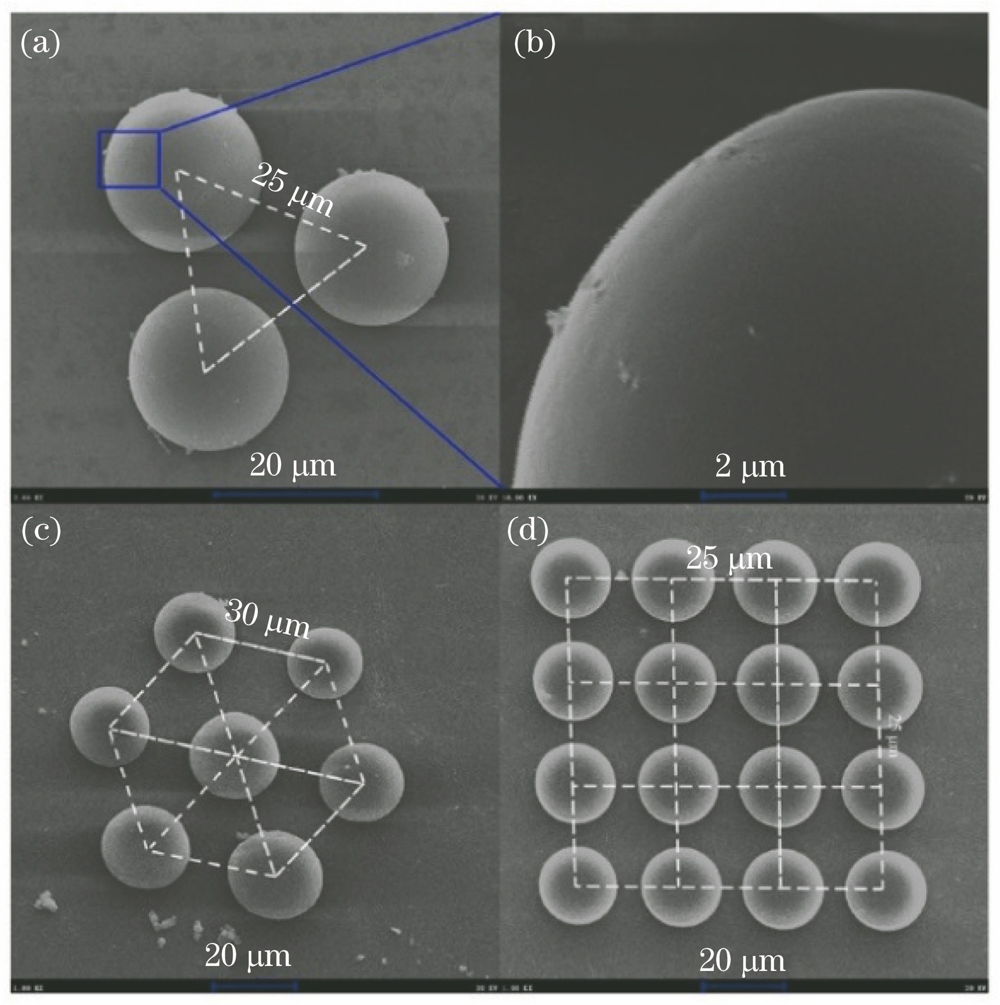 SEM images of microlens arrays fabricated by multiple foci[1]. (a) Microlens arrays in triangle distribution; (b) partial view of one microlens in Fig. (a) captured at 45°; (c) microlens arrays in hexagonal distribution; (d) microlens arrays in 4×4 distribution